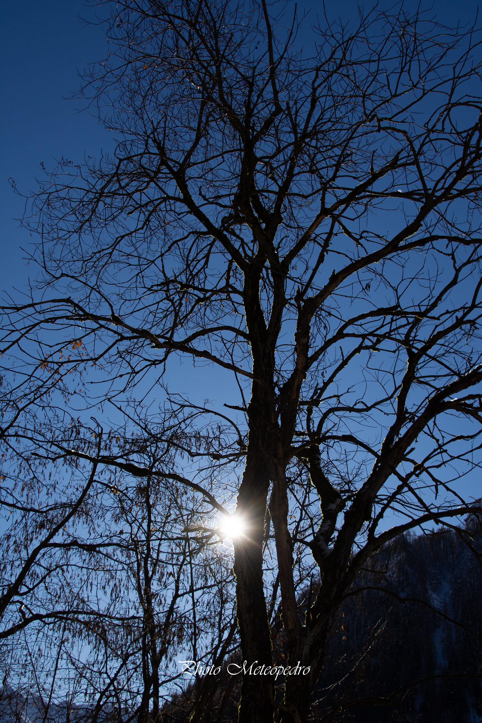 giocando con il sole