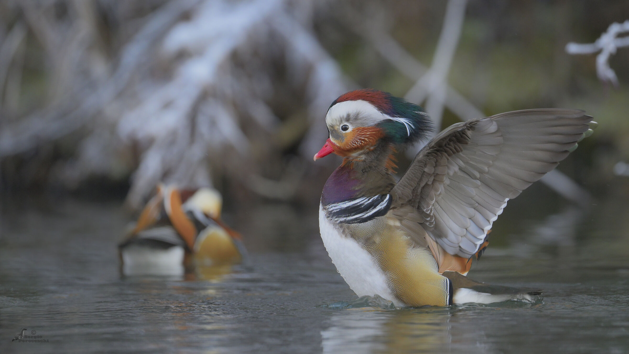 Dancing on a cold morning