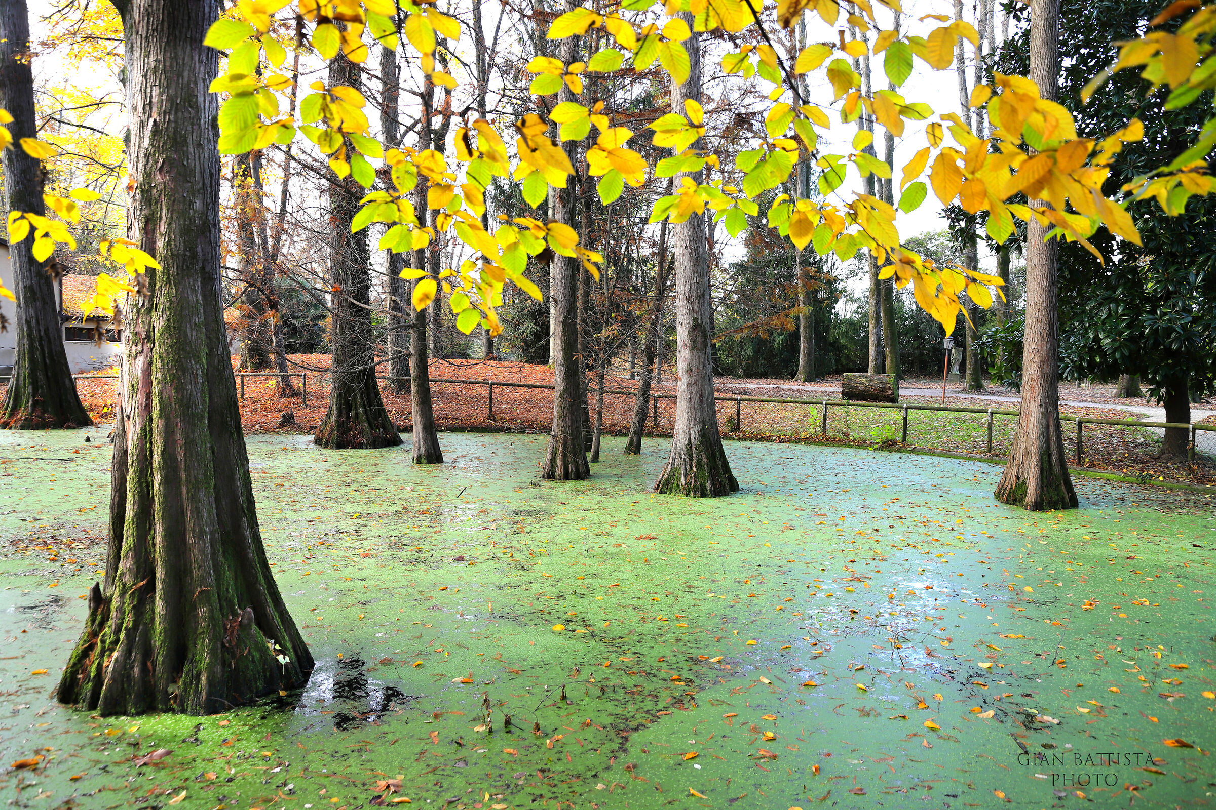 Piccolo lago