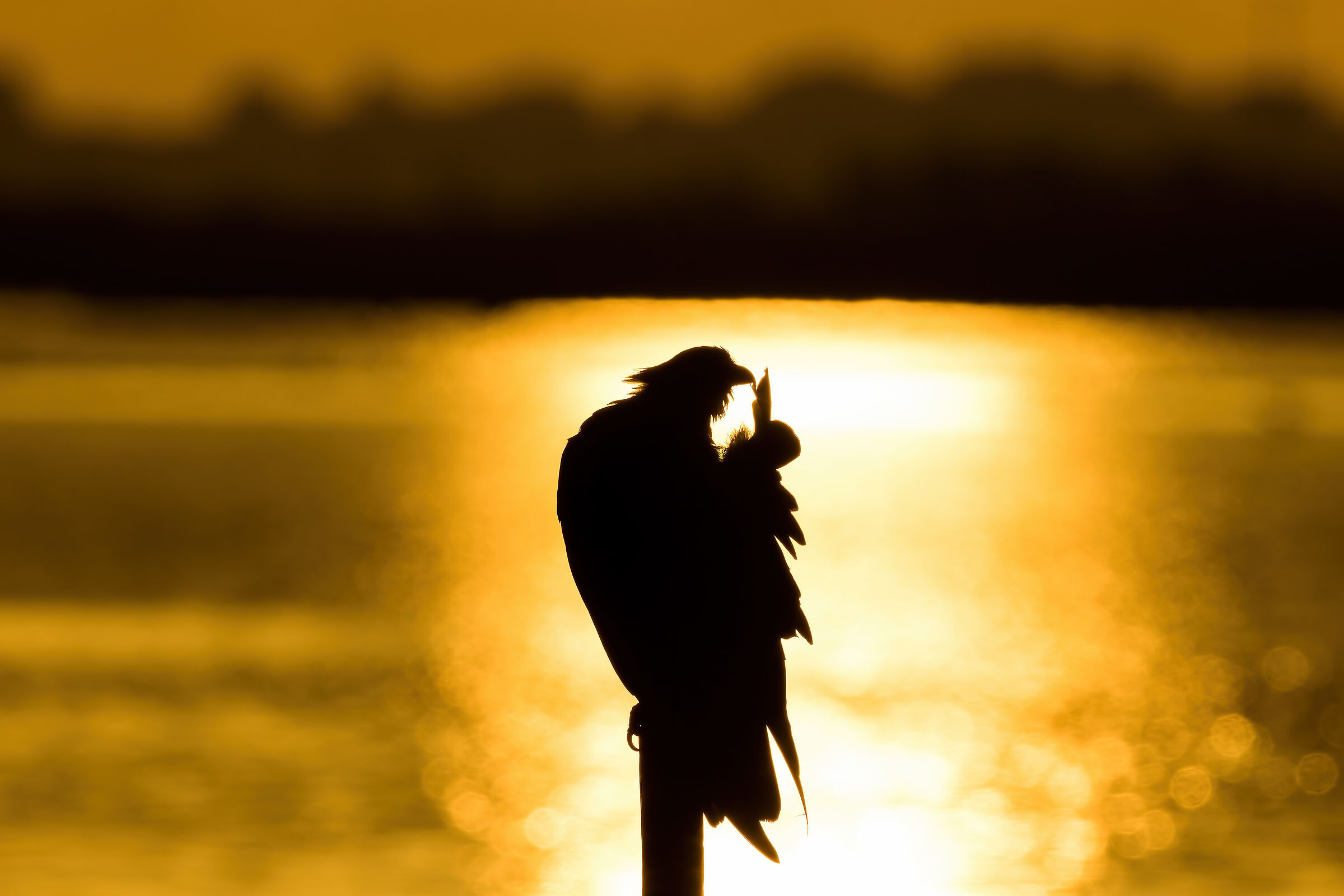 Last cleaning at sunset