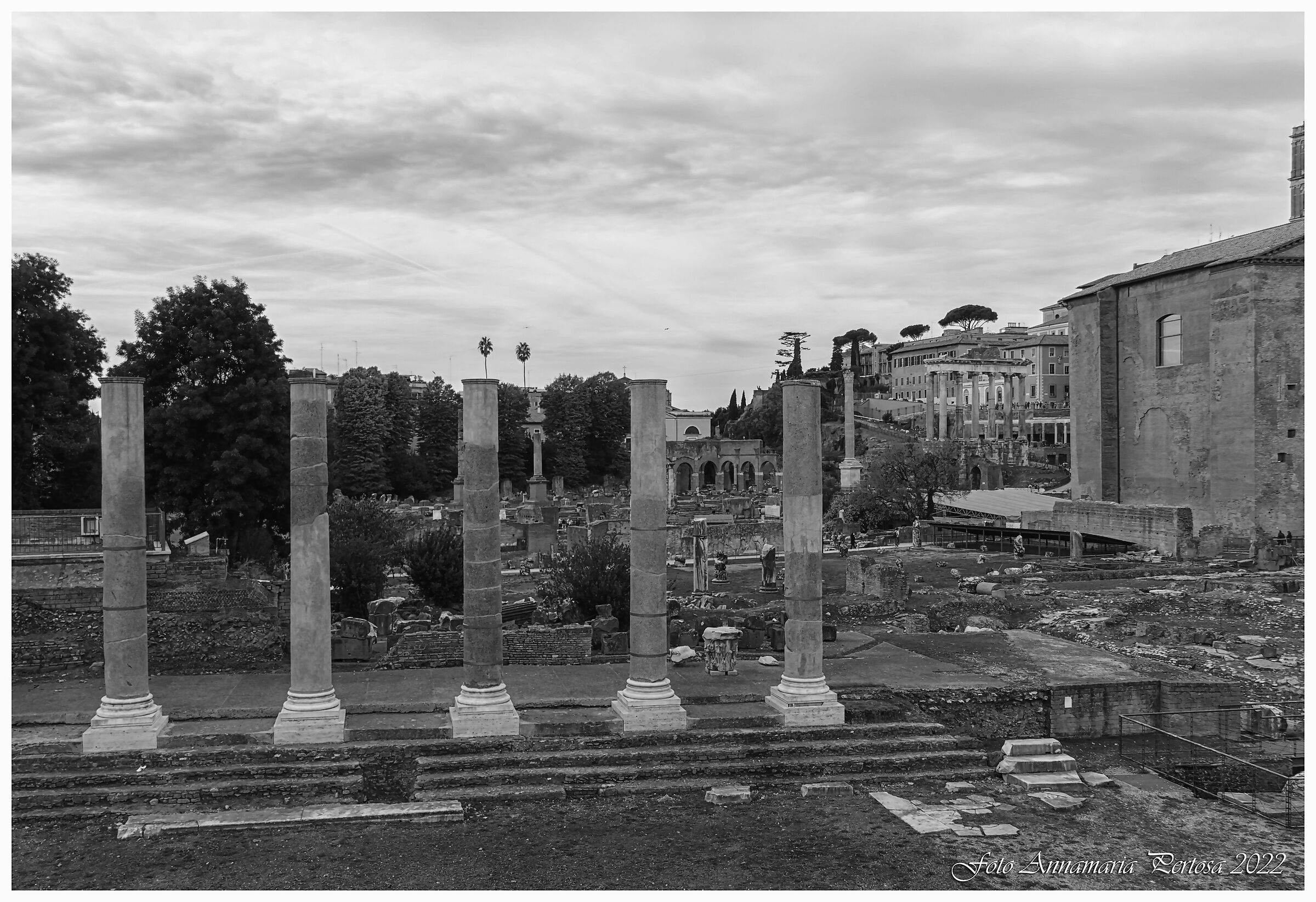 Archaeological Area of the Imperial Forums