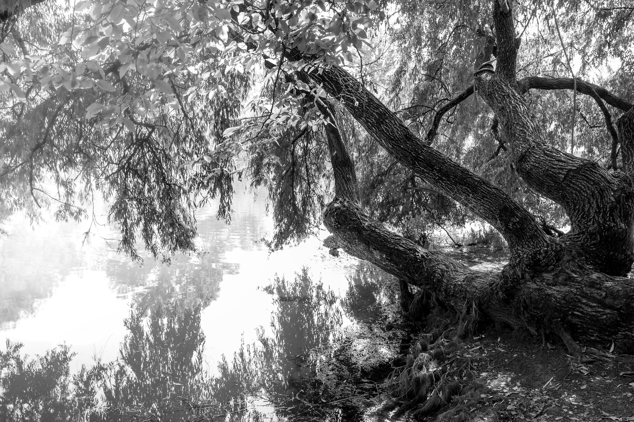 Lungo le rive dell'Adda