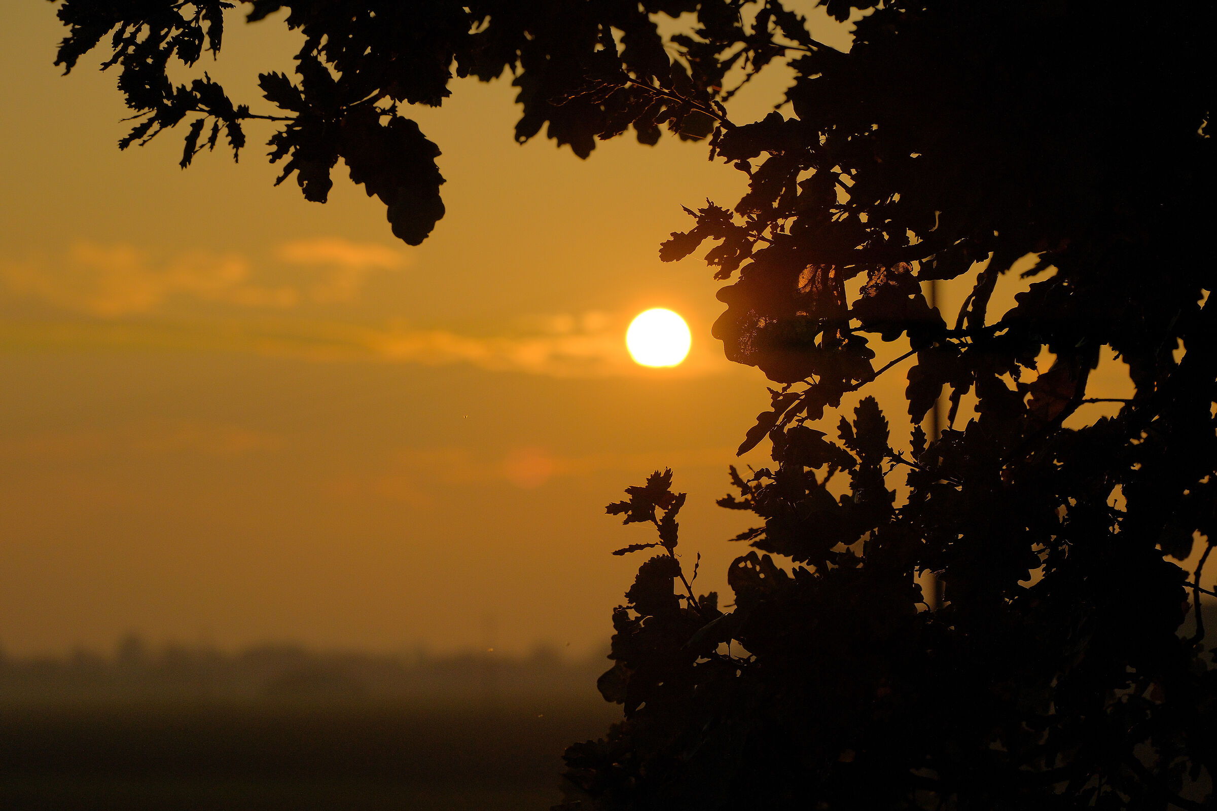 The golden hour at 40 Mpixel...