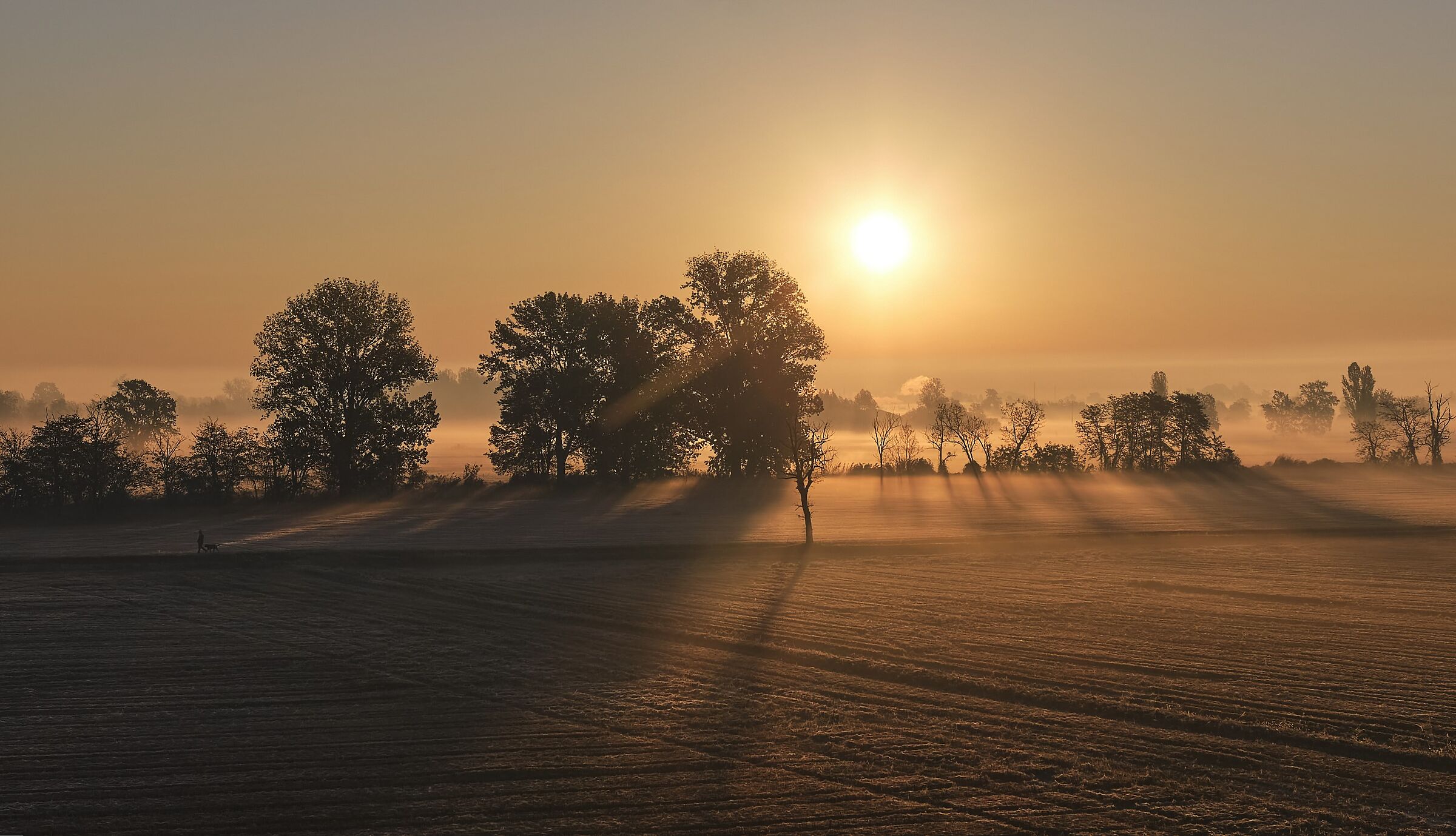 Magic of light at dawn