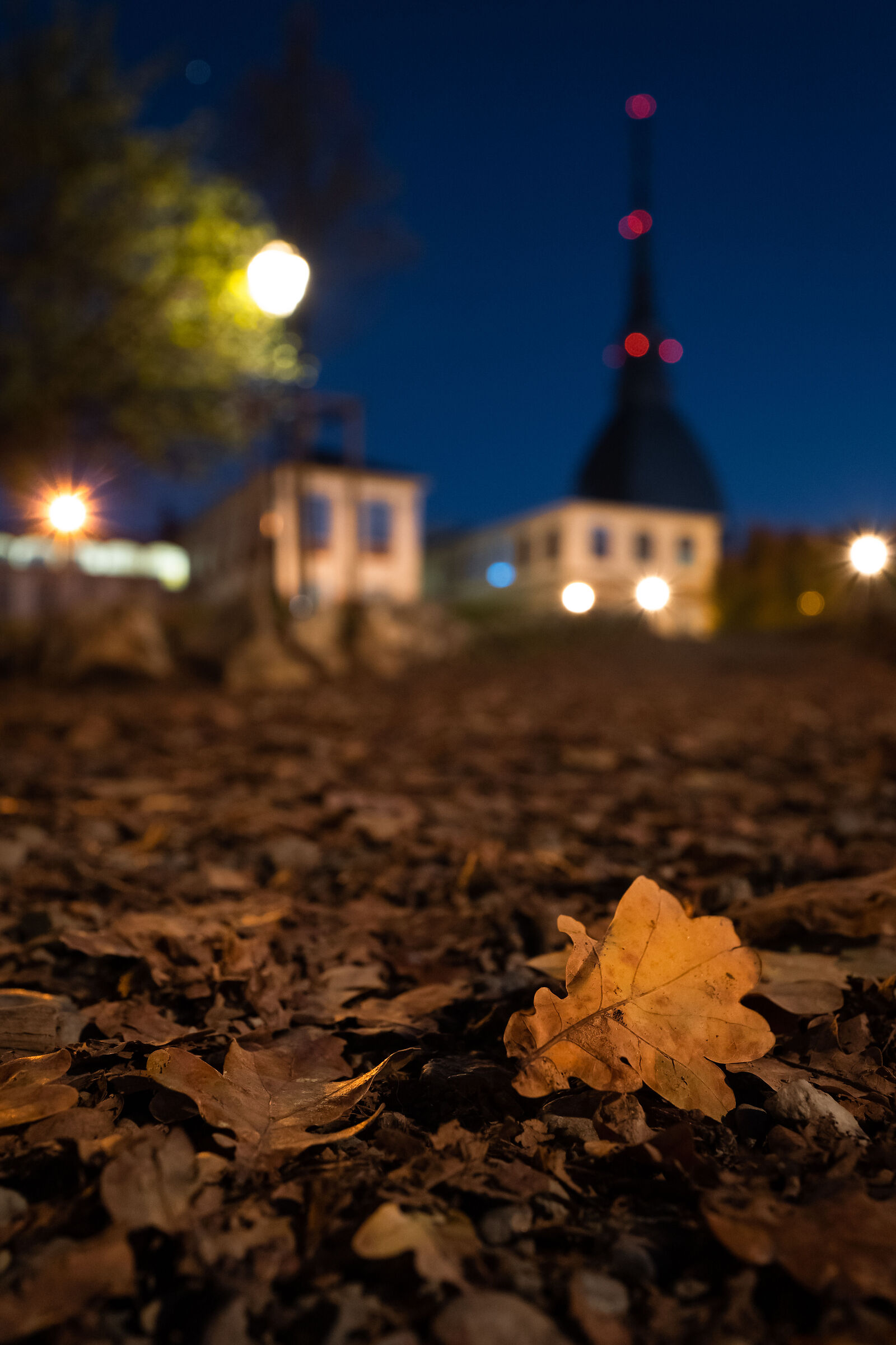 Autumn in Turin