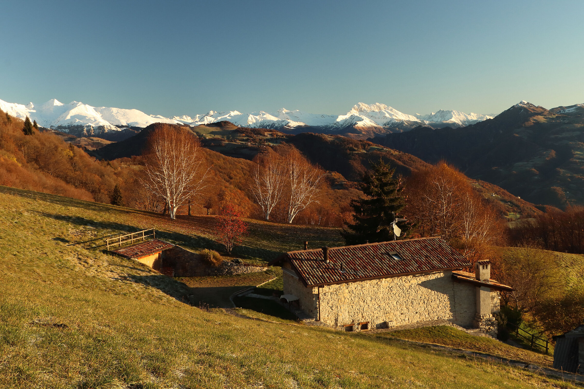 Autumn awaits winter