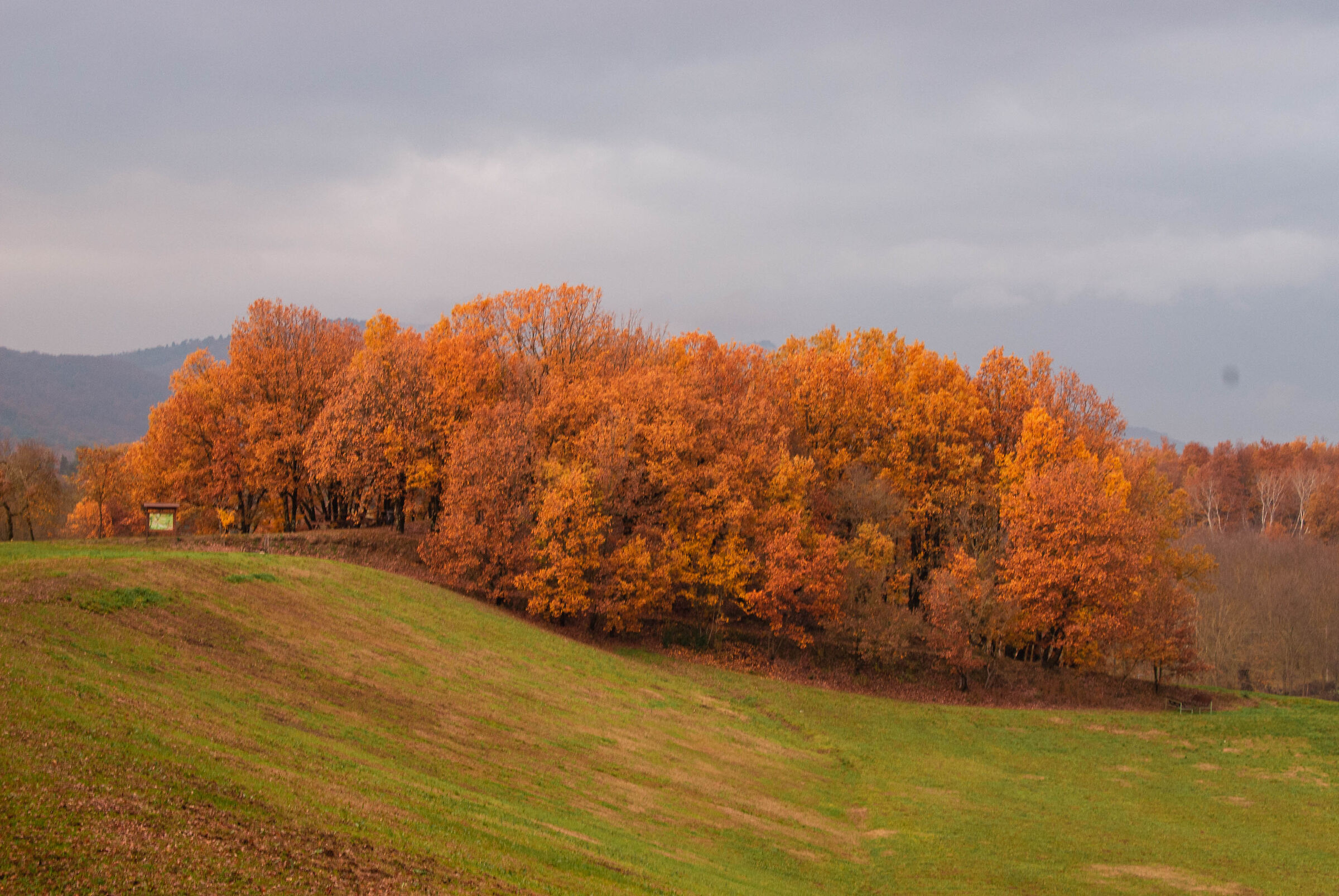 Autunno