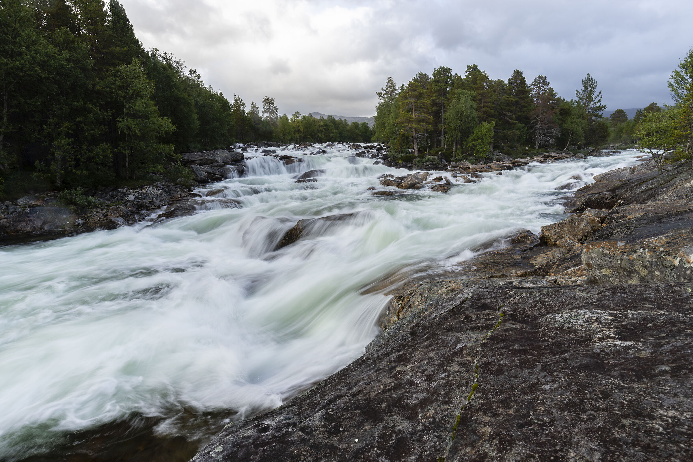 Luonosjahka, un fiume torrente.