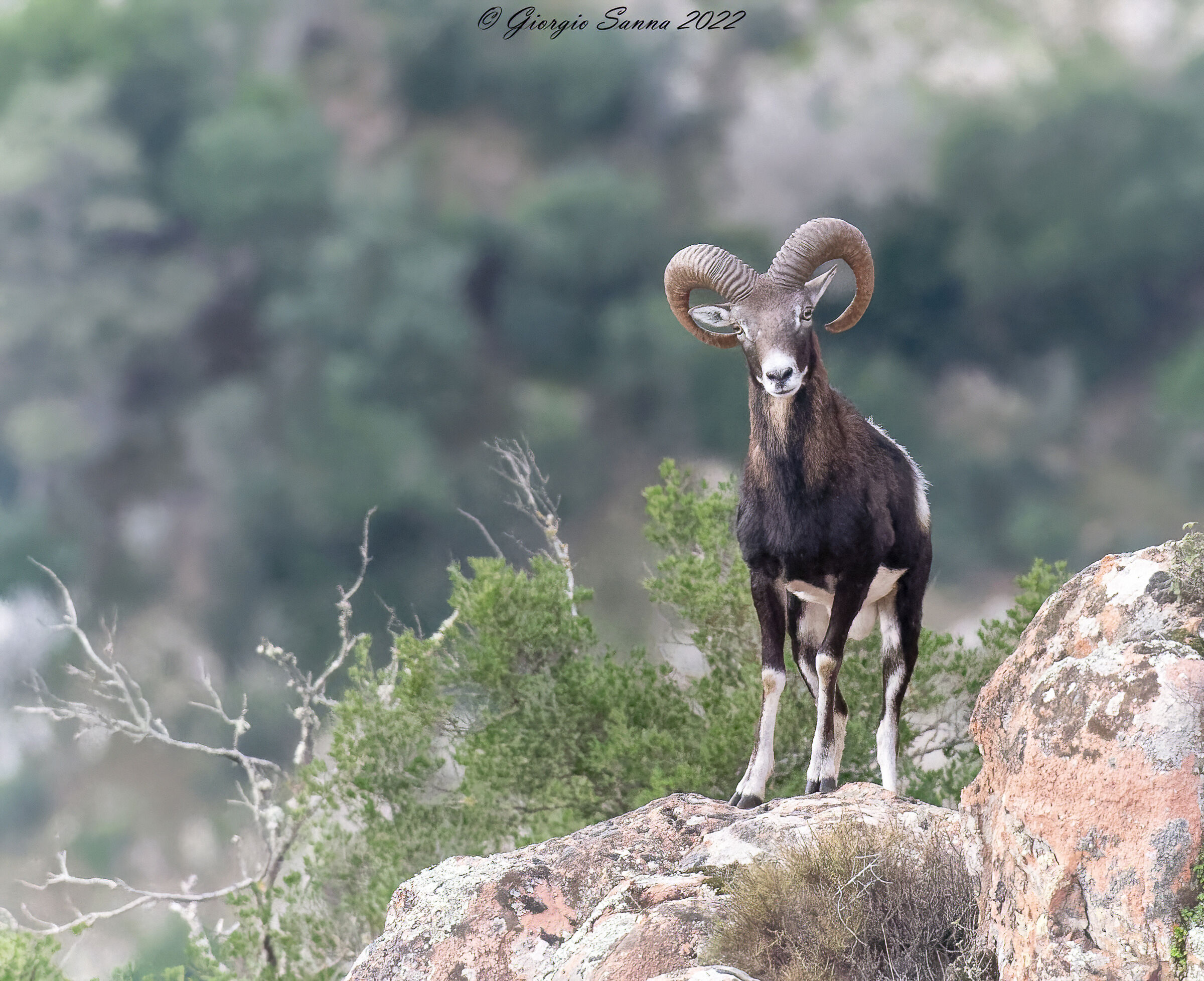 I am quite skilled in slopes