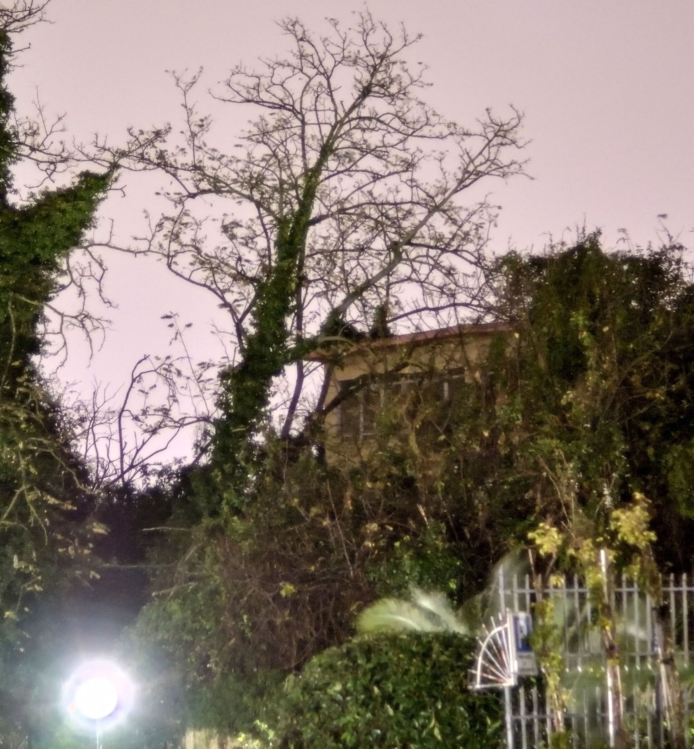 Mezzanotte e dintorni