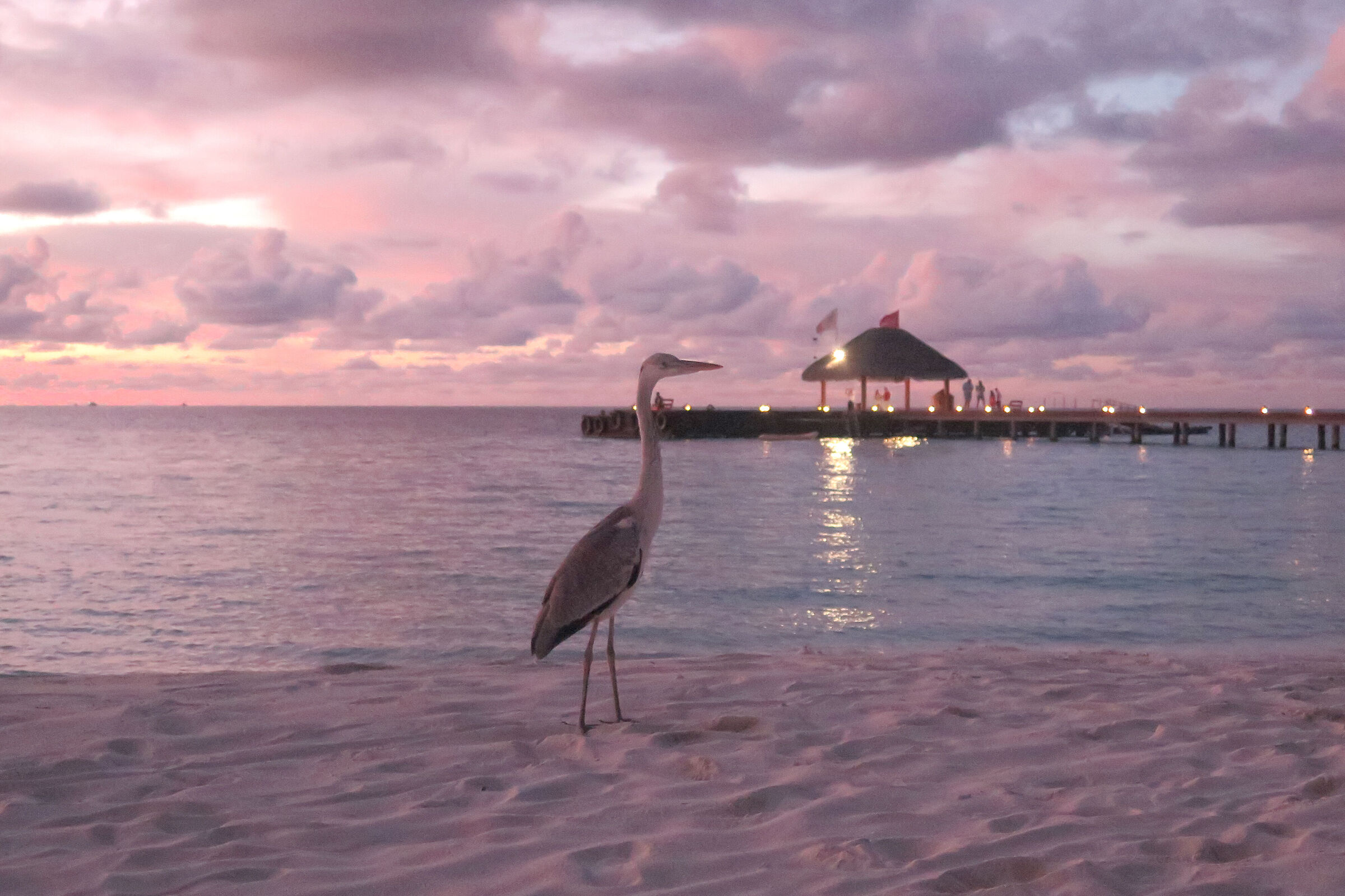 Sunset in the Maldives