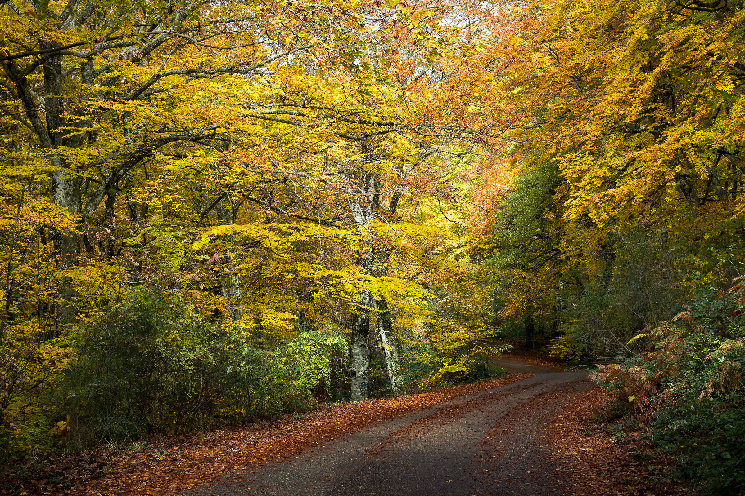 Inverno al Monte Fogliano
