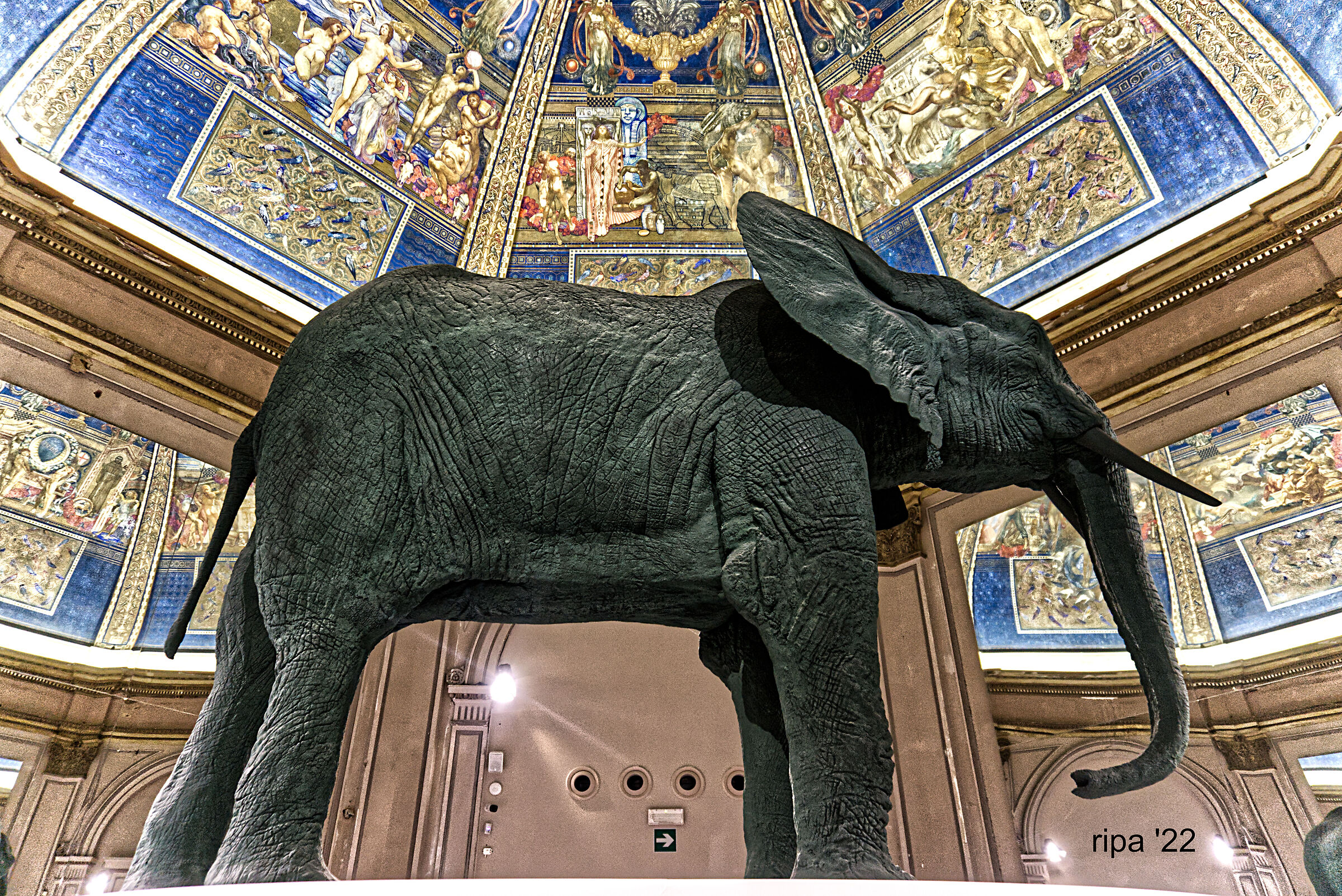 Biennale di Venezia 2022