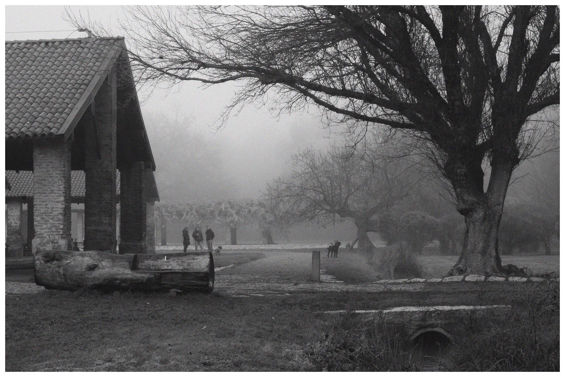 Cascina San Romano nel Bosco in Città (mi)