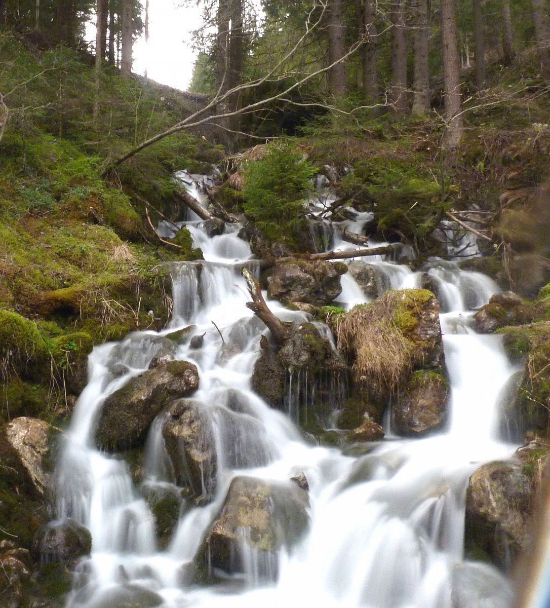 the waterfall in the forest