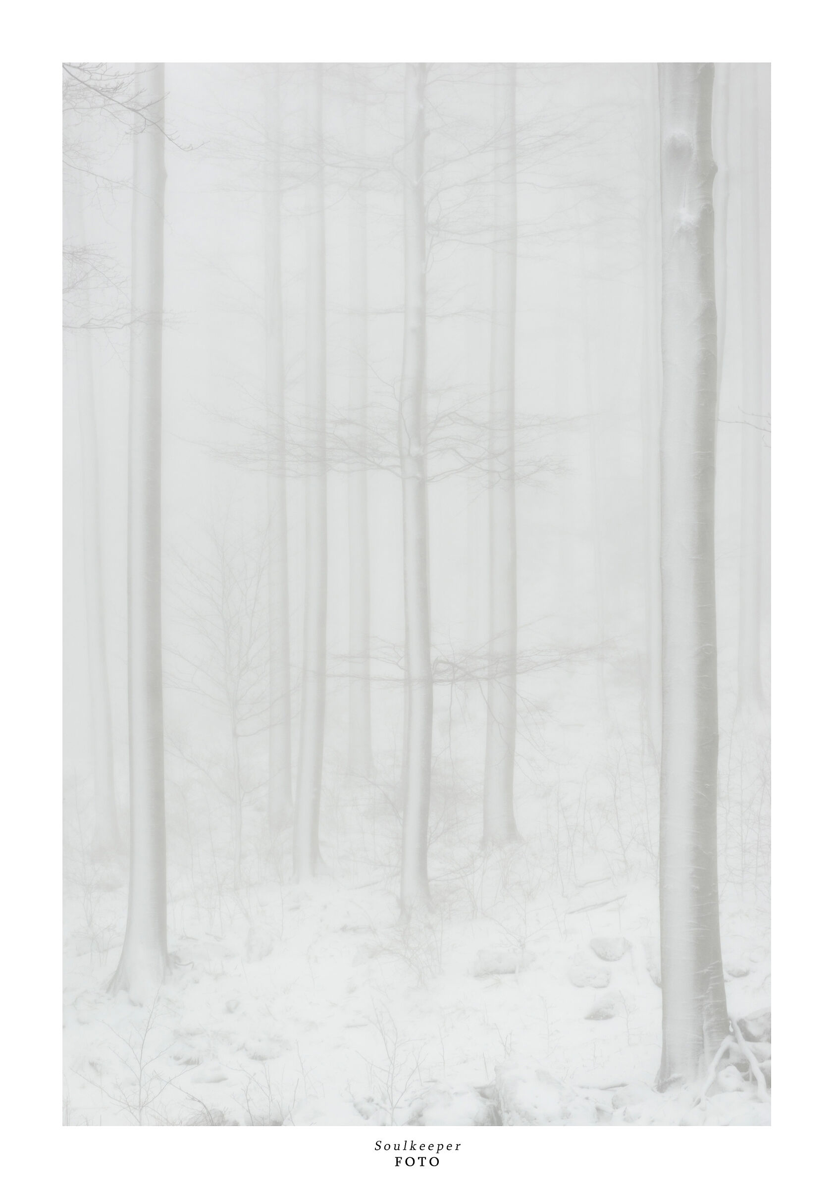 Listen to the silence.