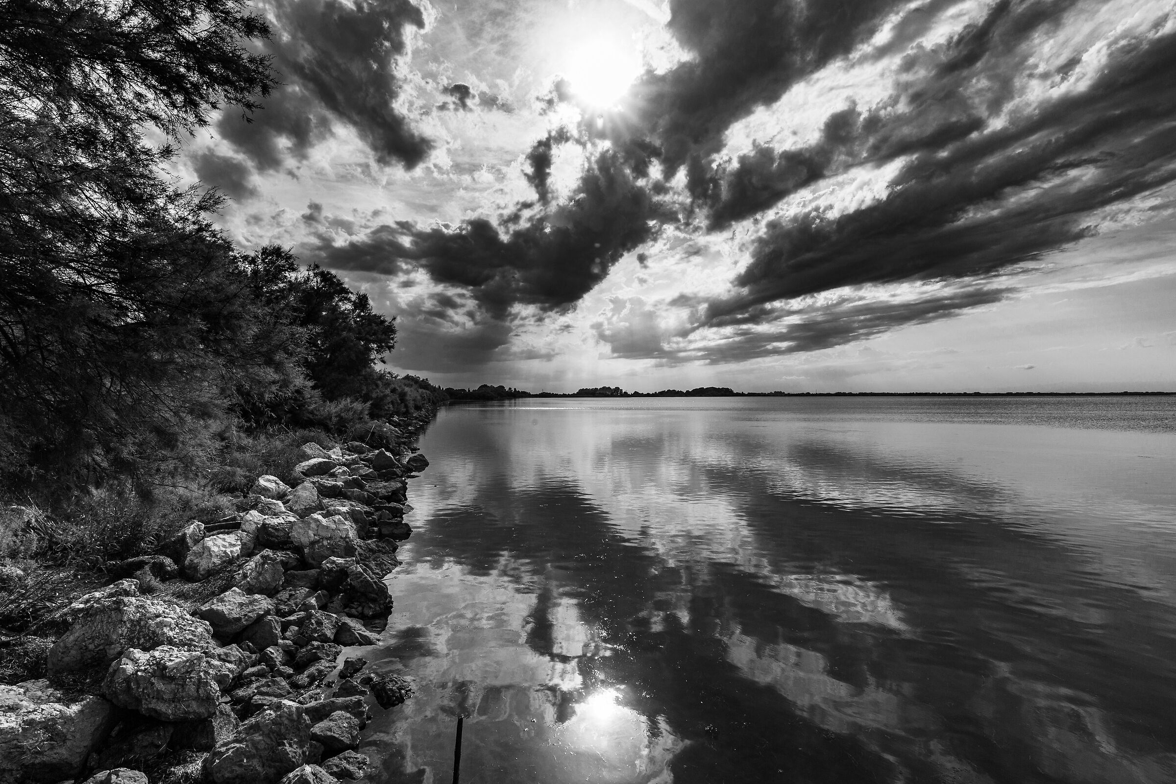 La sponda. Laguna di Lignano.