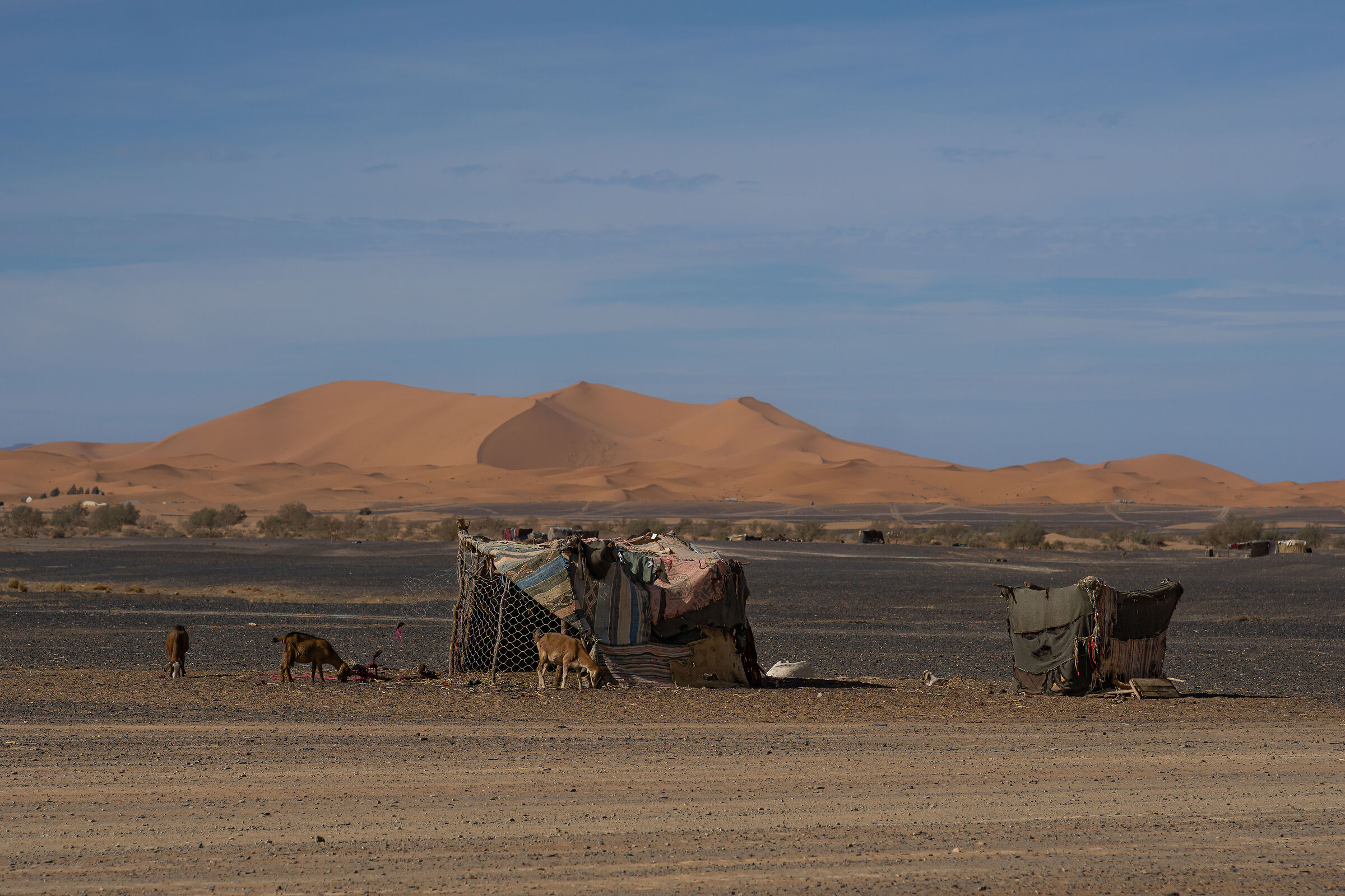 Merzouga Nomad Village