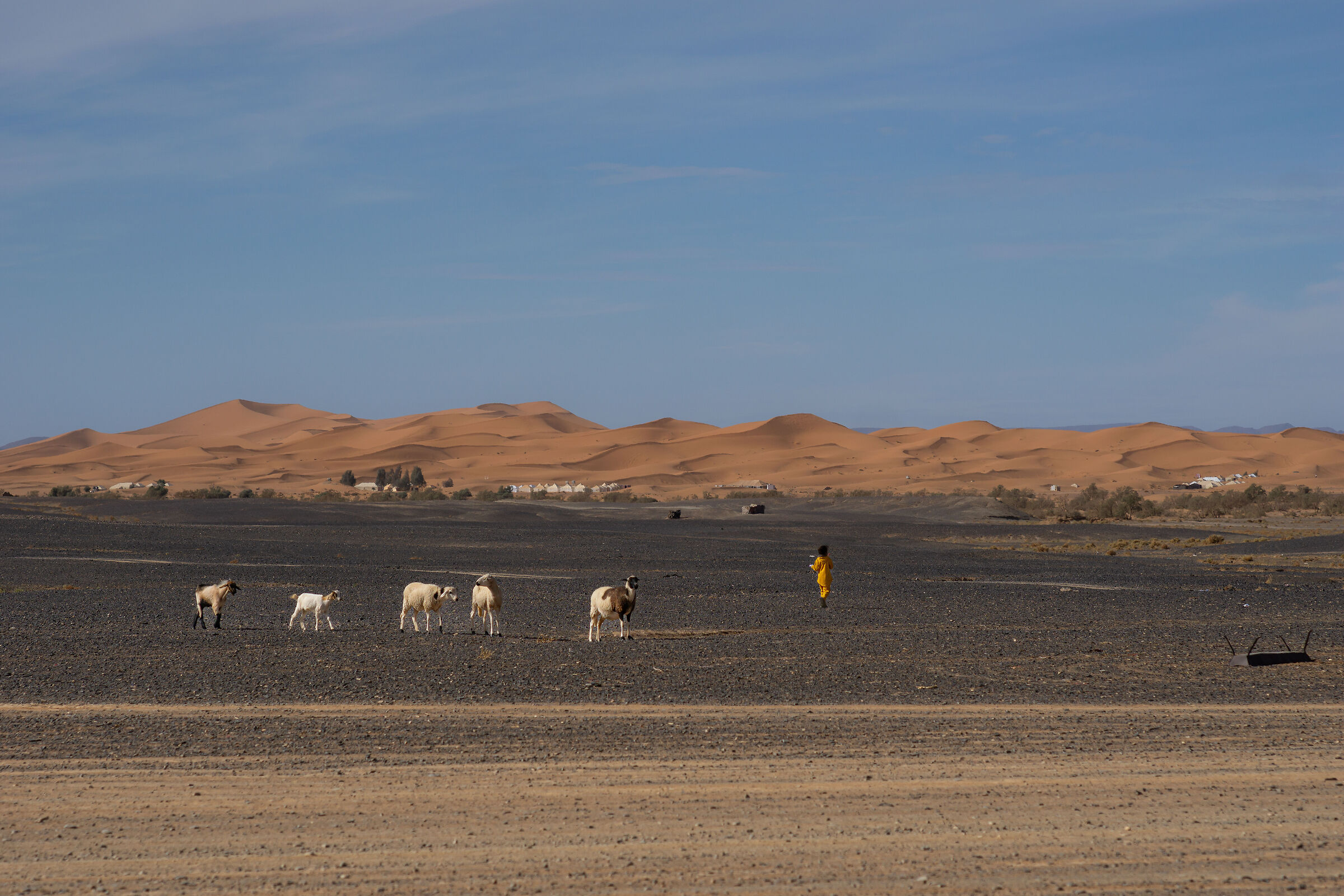 Merzouga Nomad Village