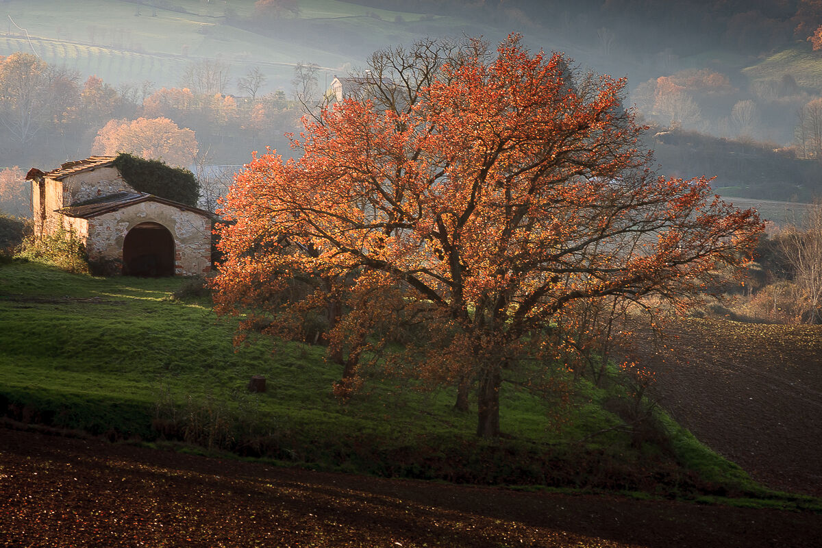 December in Valdarno ...