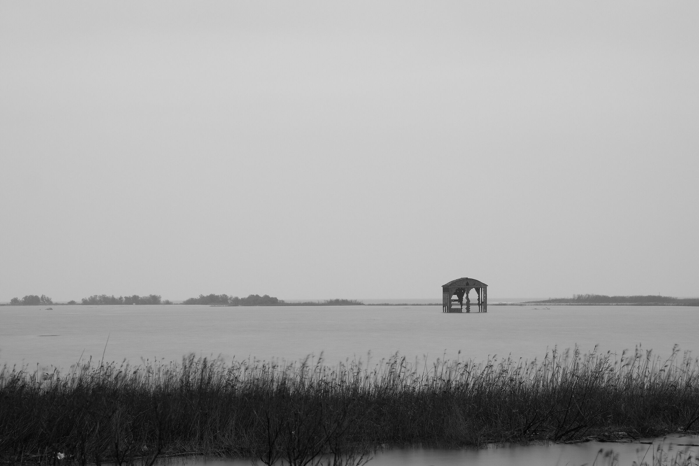 Still standing