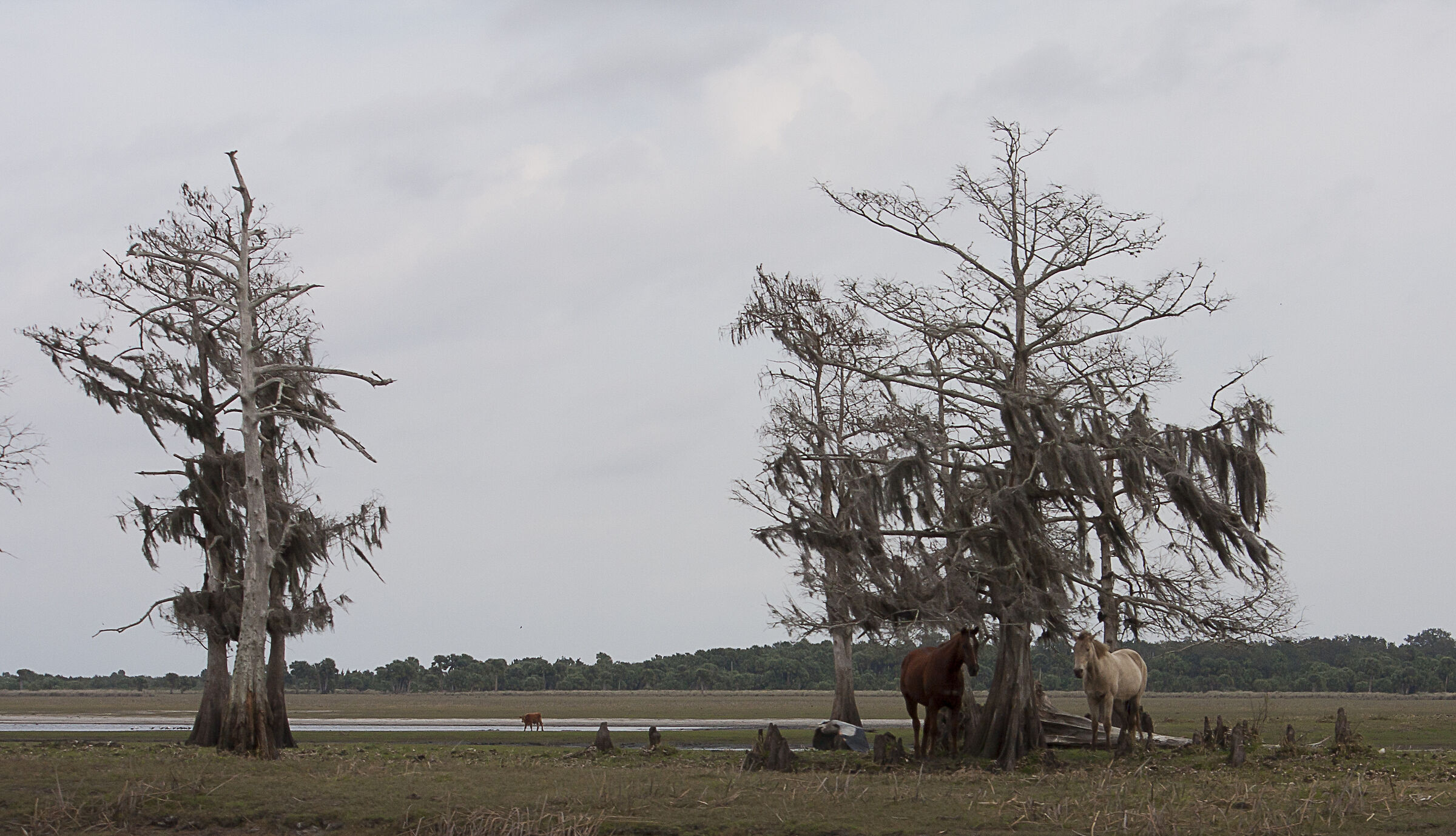 Indialantic, Florida