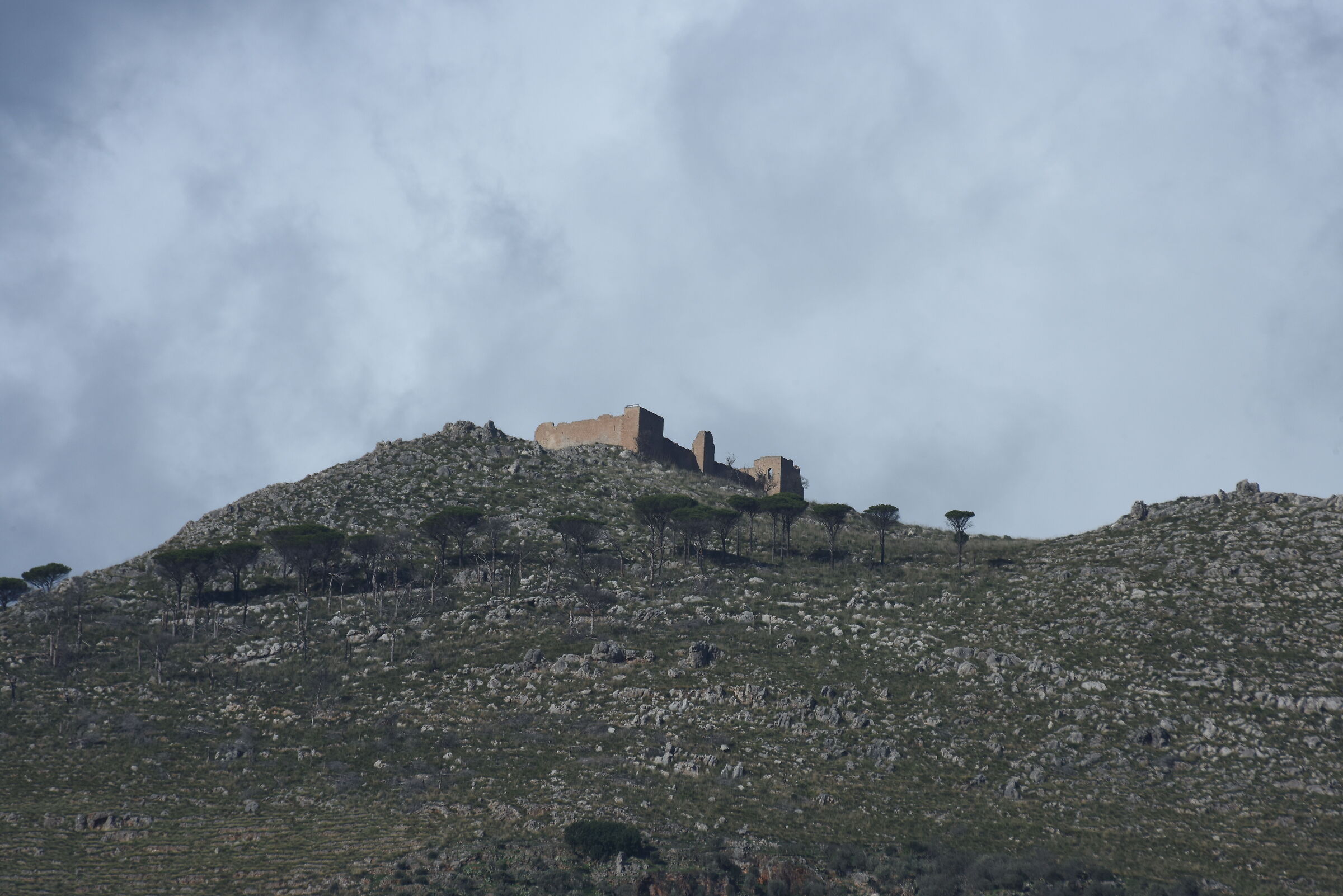 CASTELLACCIO - MONREALE (PA) - TEST WITH SIGMA 70-300