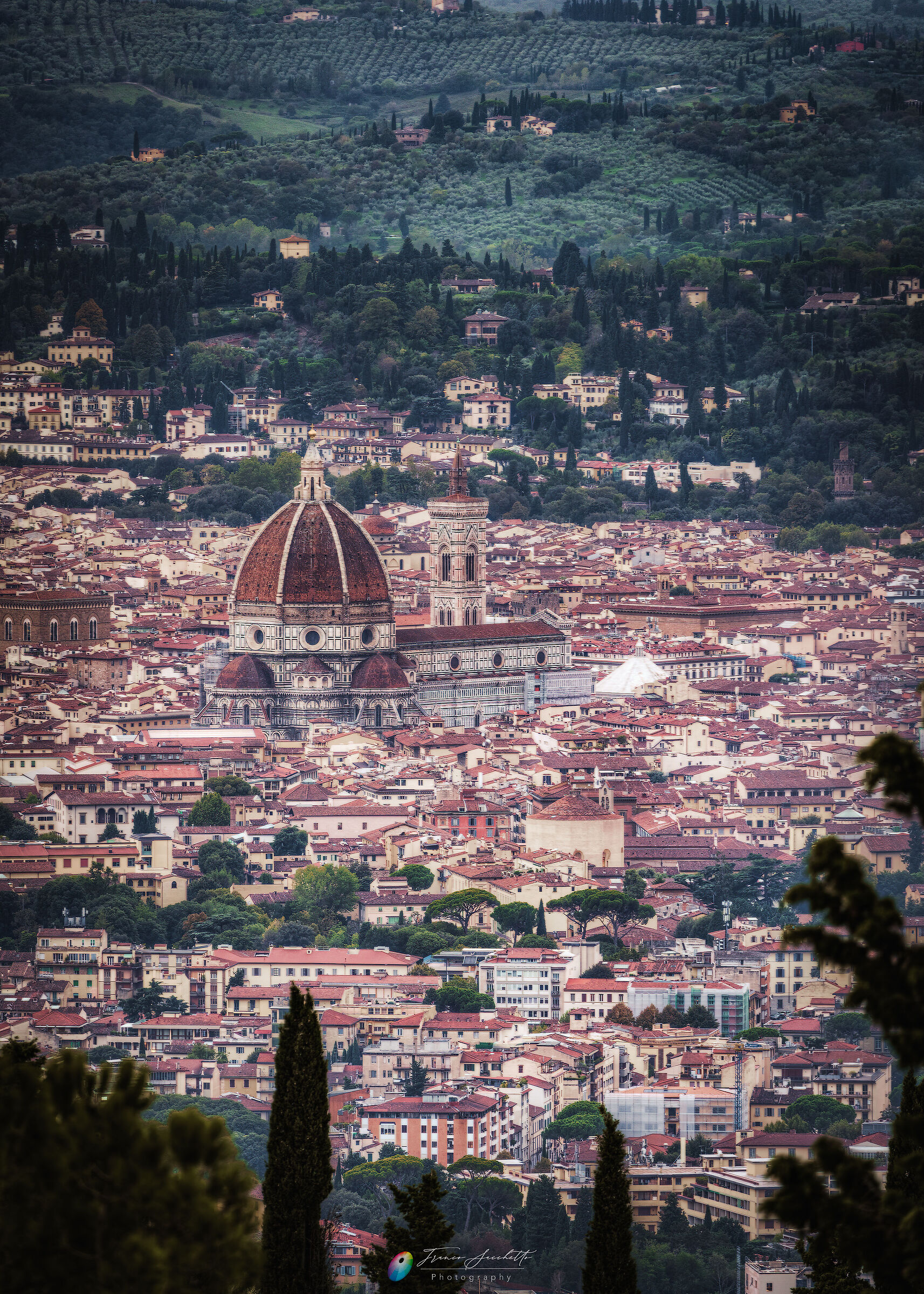 Florence seen from Fiesole