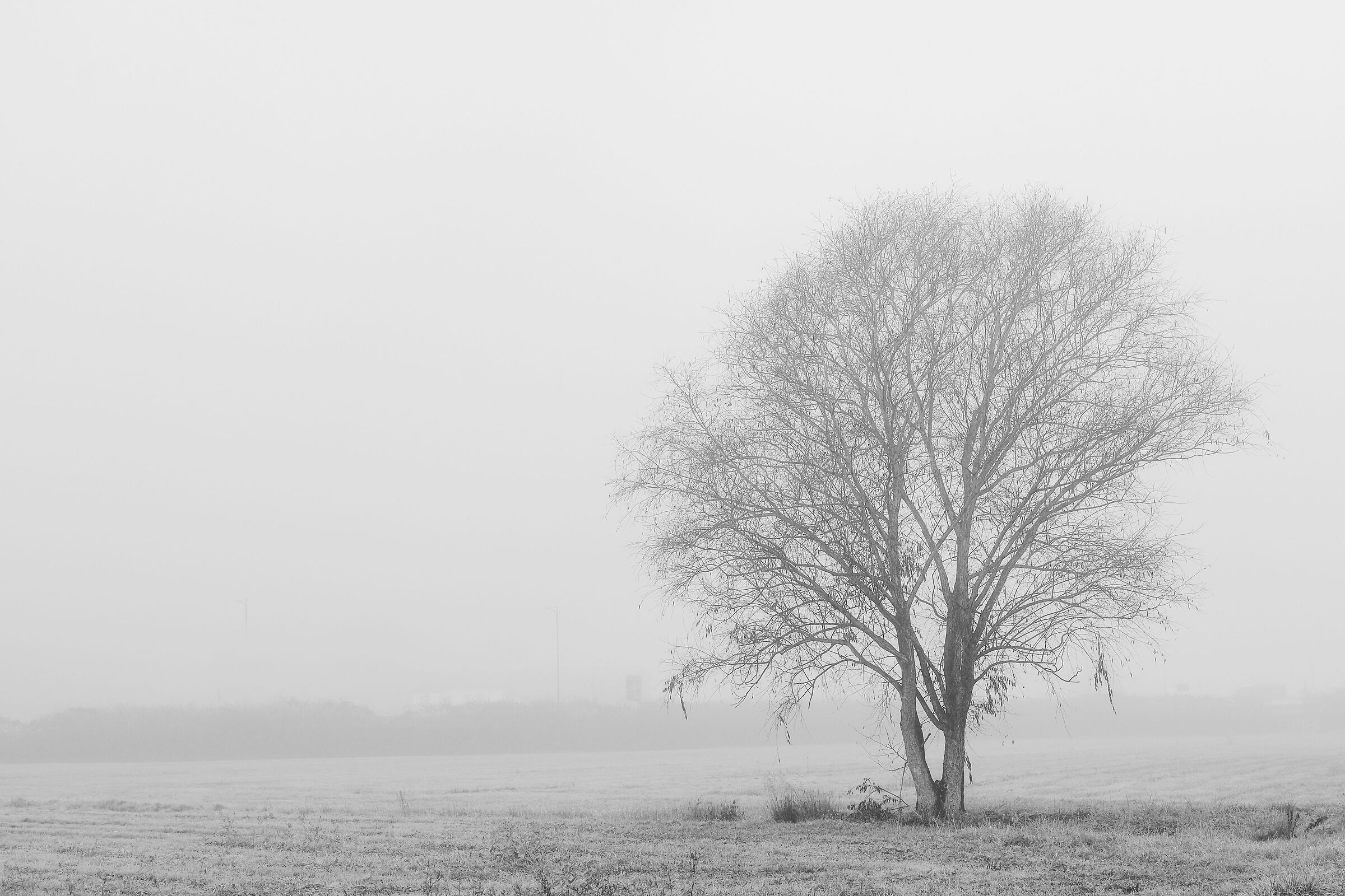 Il guardiano della nebbia
