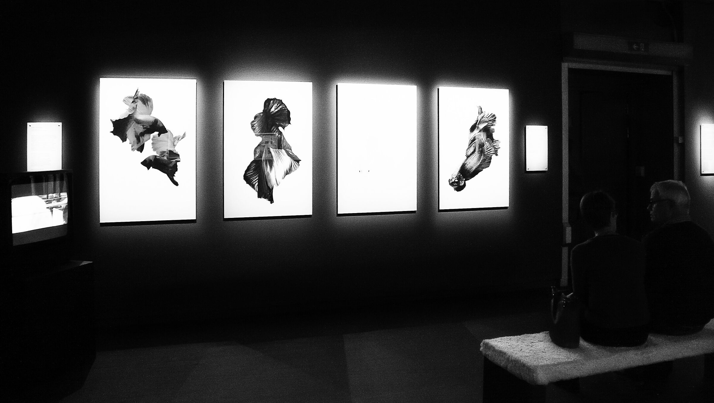 Stoccolma, Fotografiska