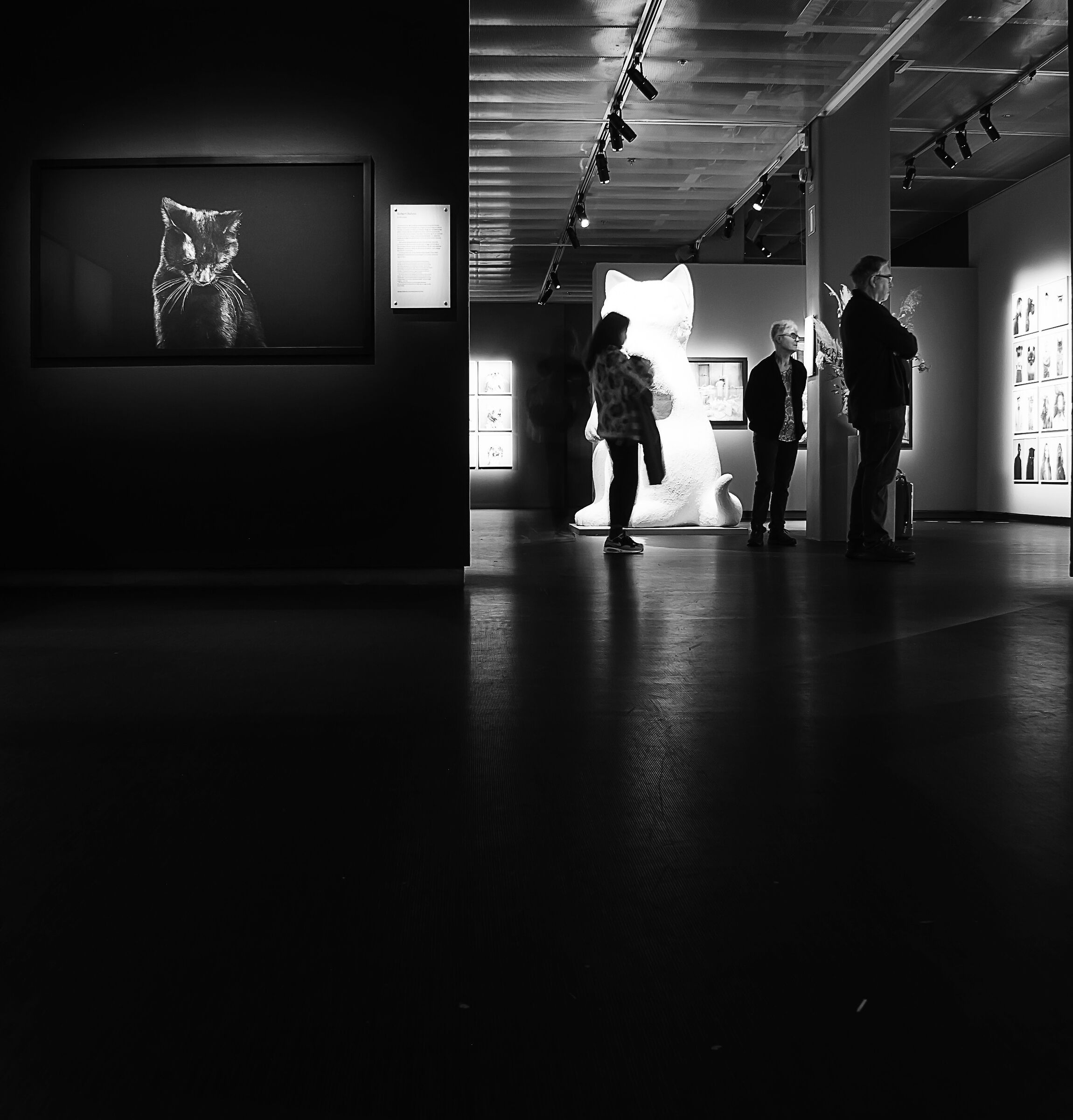 Stoccolma, Fotografiska