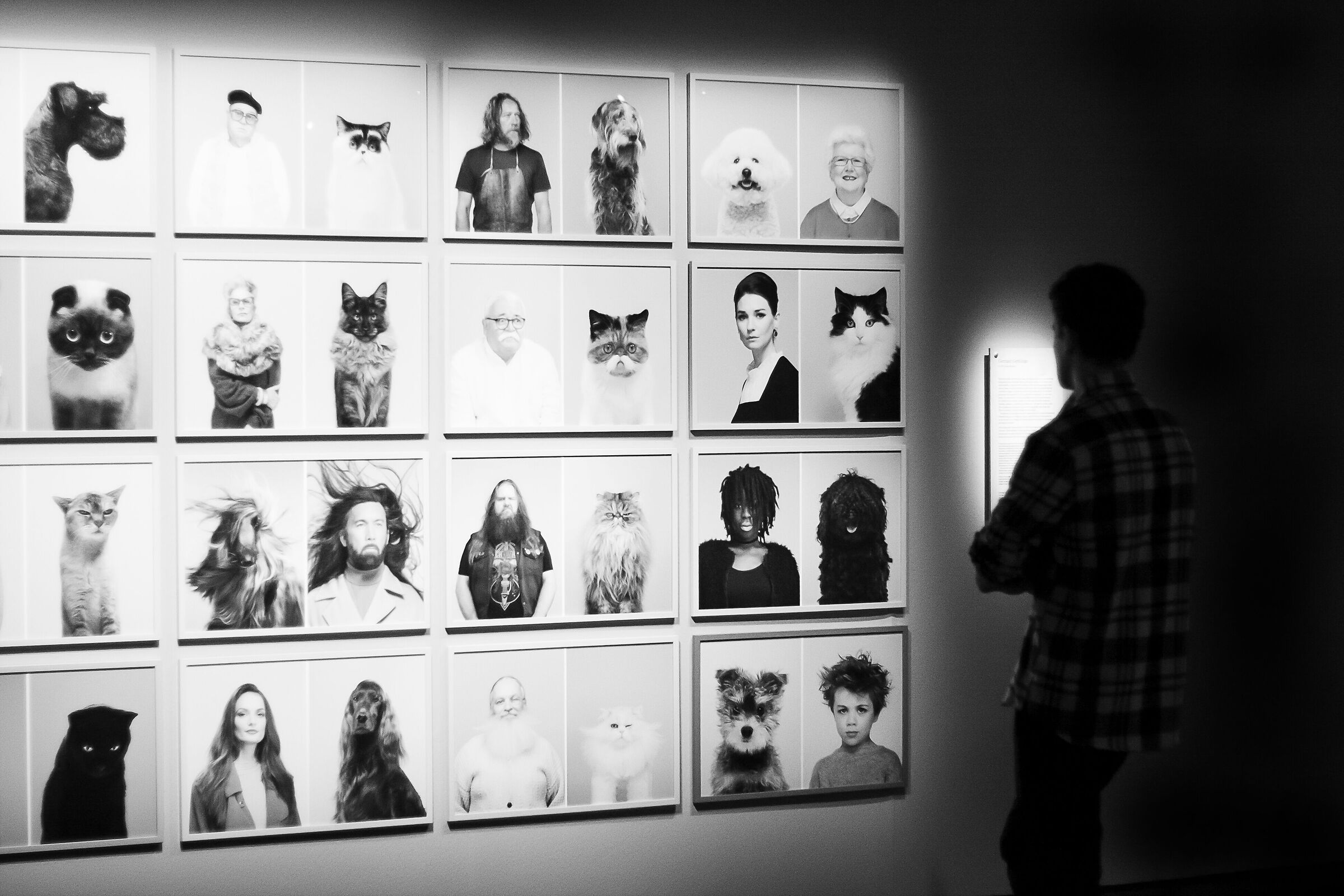 Stoccolma, Fotografiska