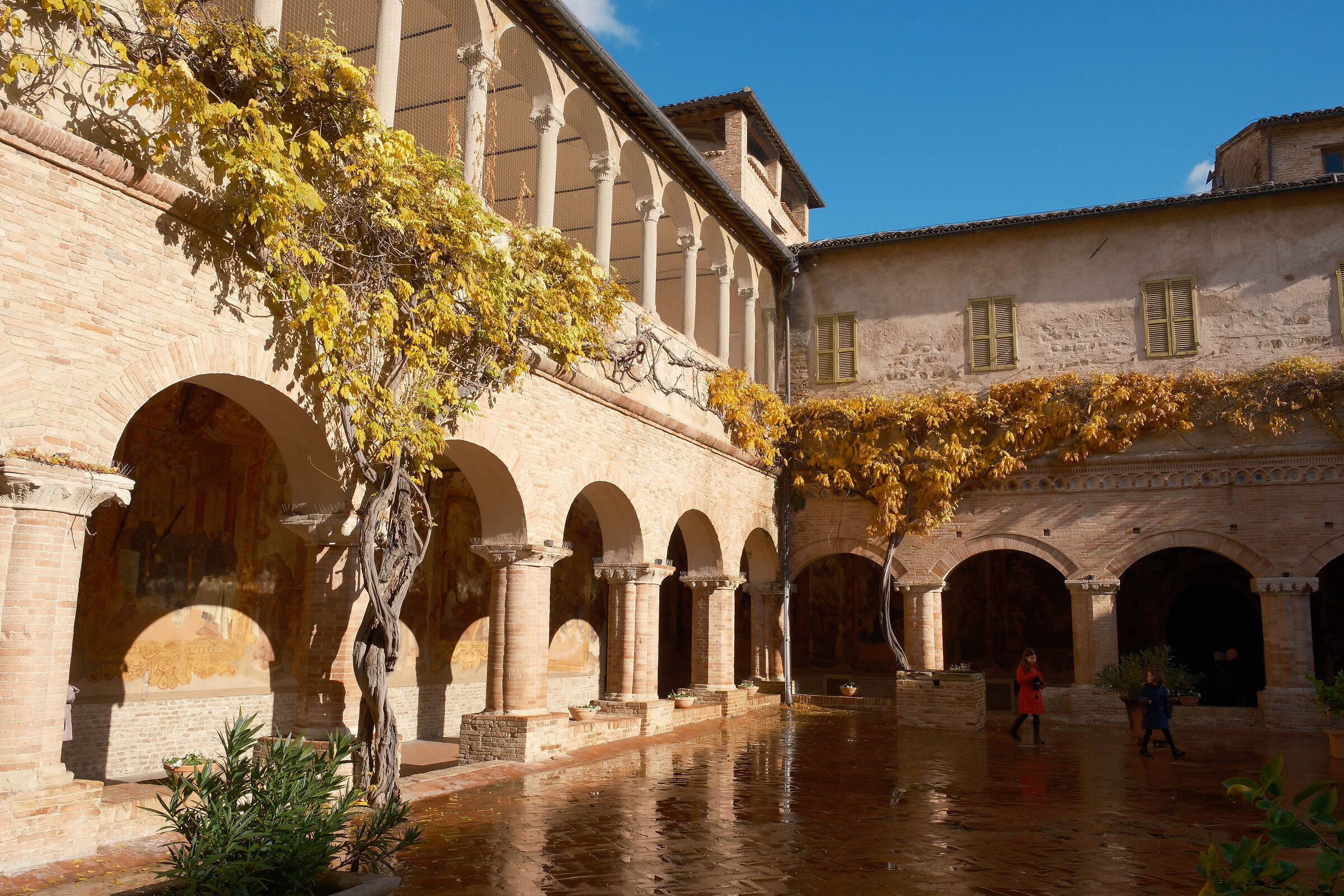 Chiostro San Nicola - Tolentino (prova xt5 jpeg nn)