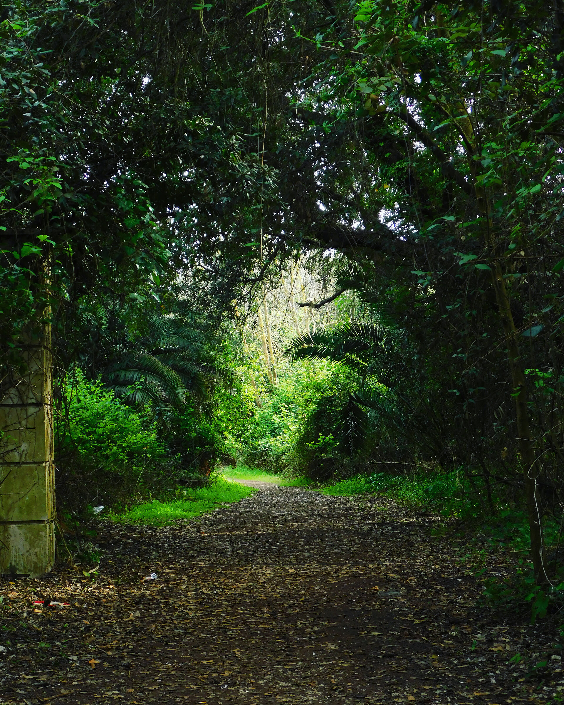 Untitled Photo