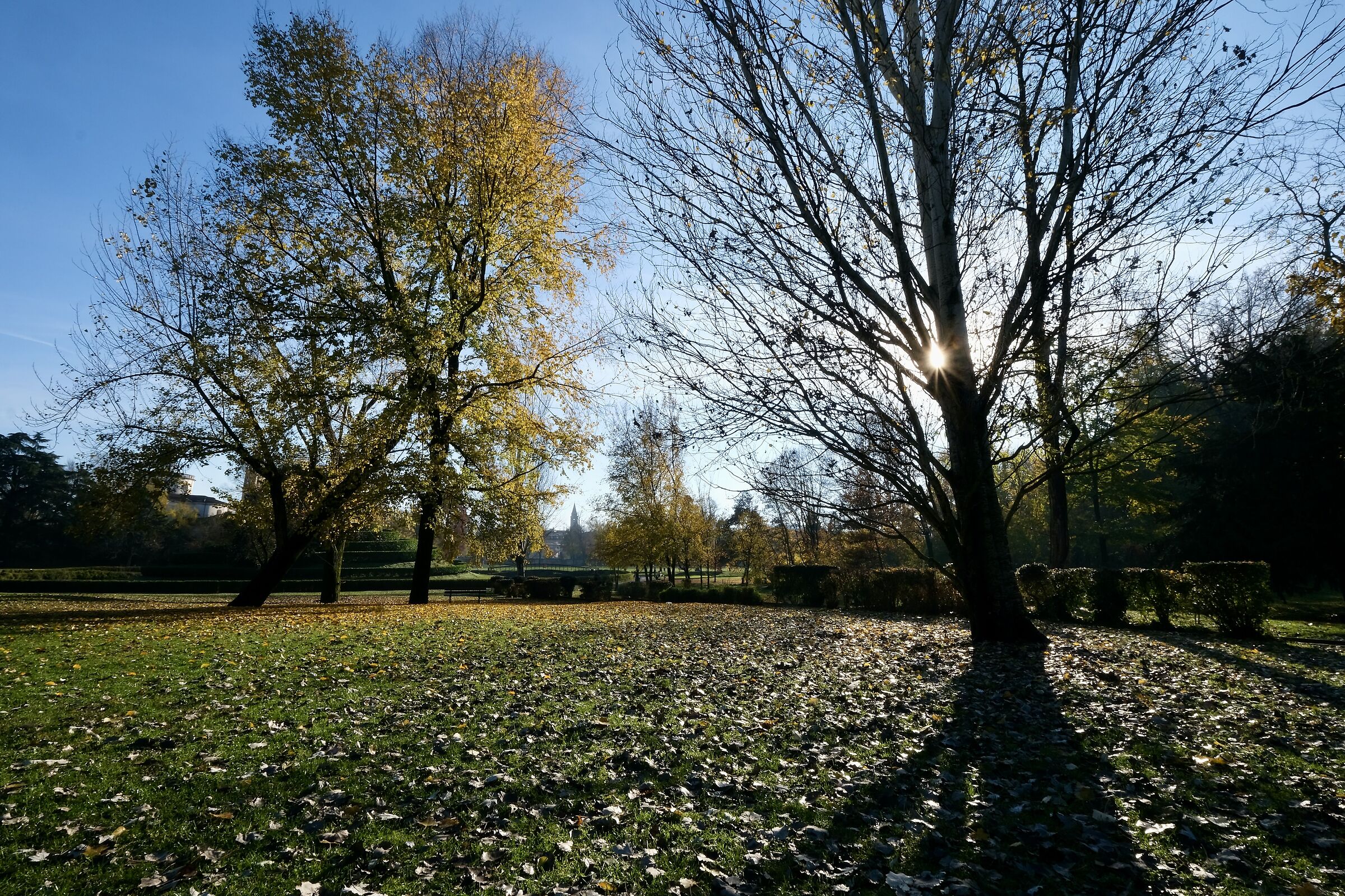 Vicenza parco querini 1