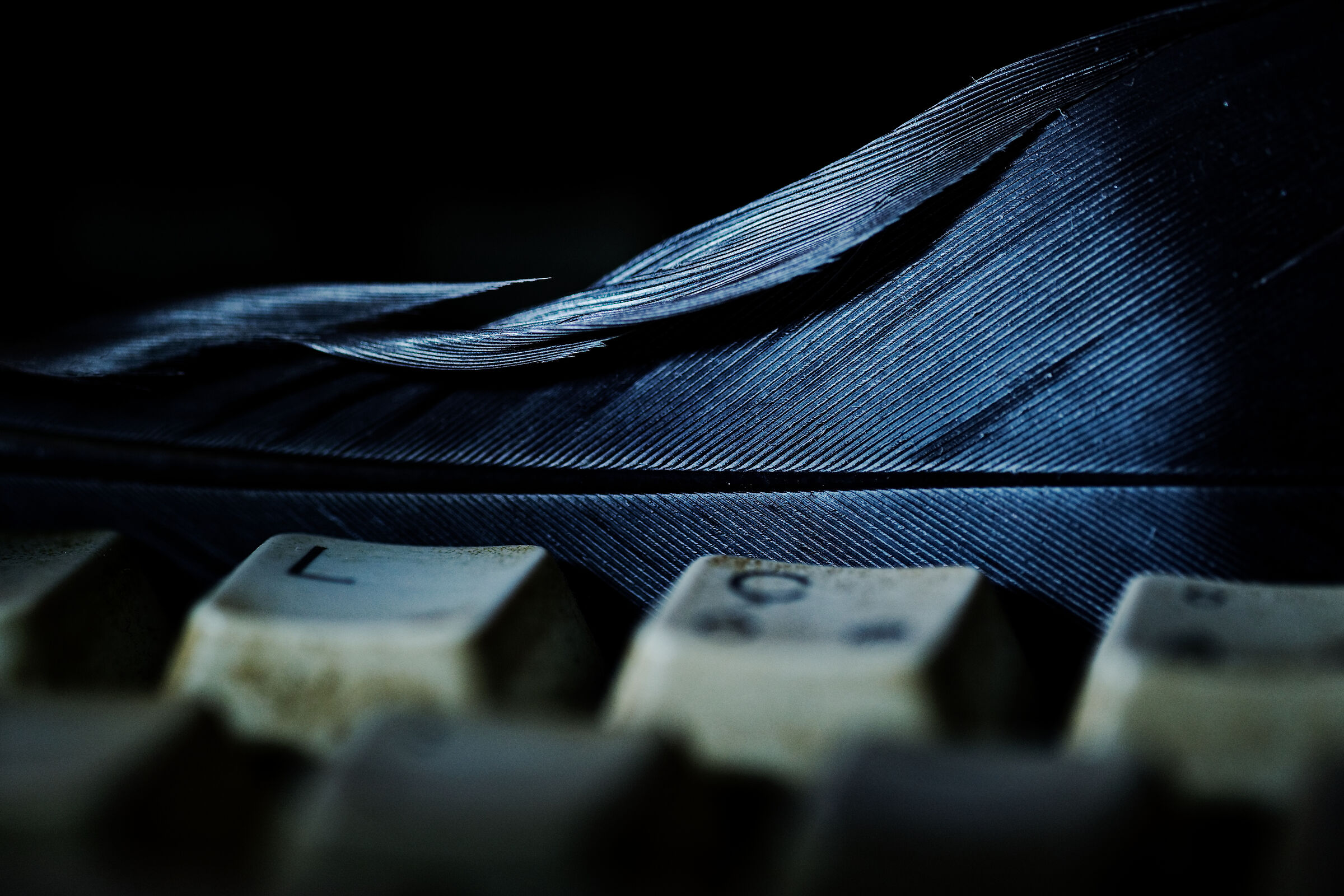 The feather and the keyboard (dirty)