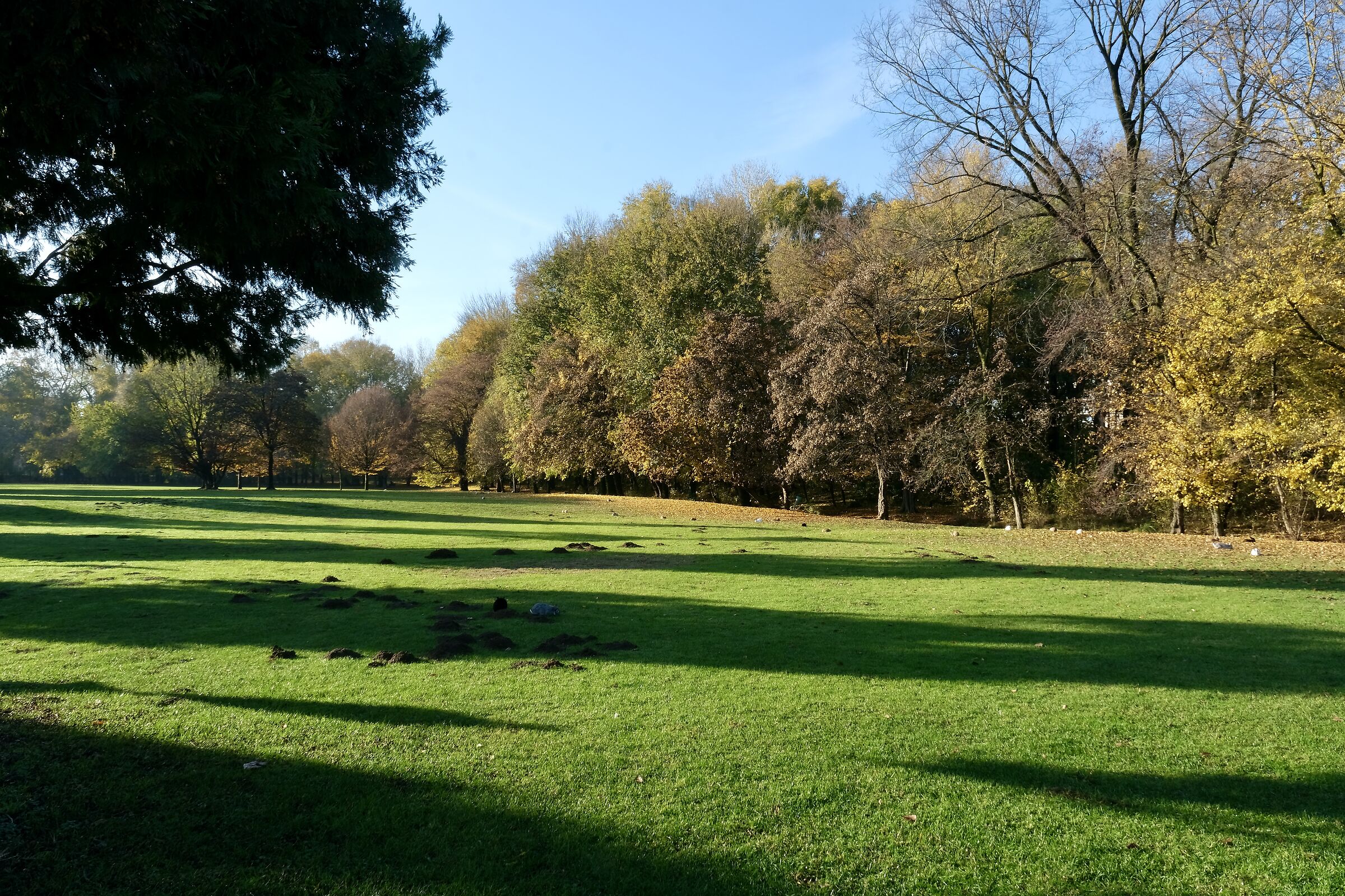 Vicenza parco querini 2