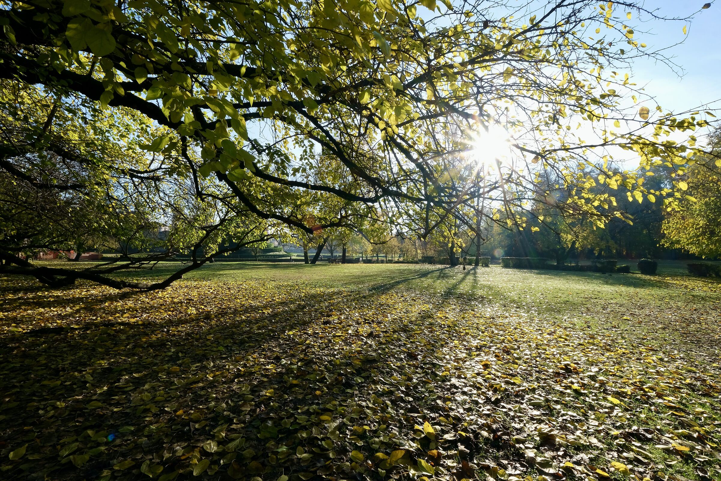 Vicenza parco querini 3