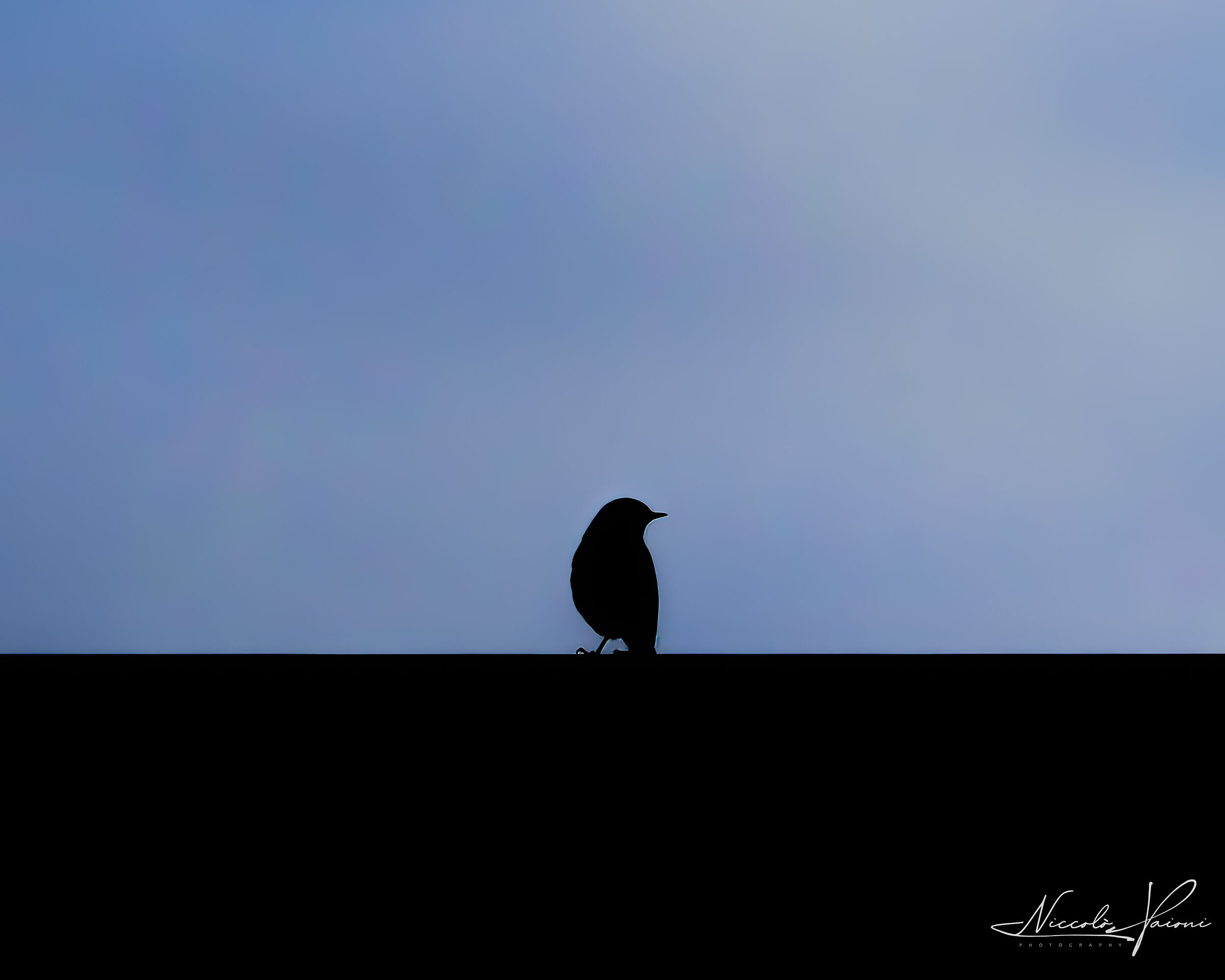 silhouette