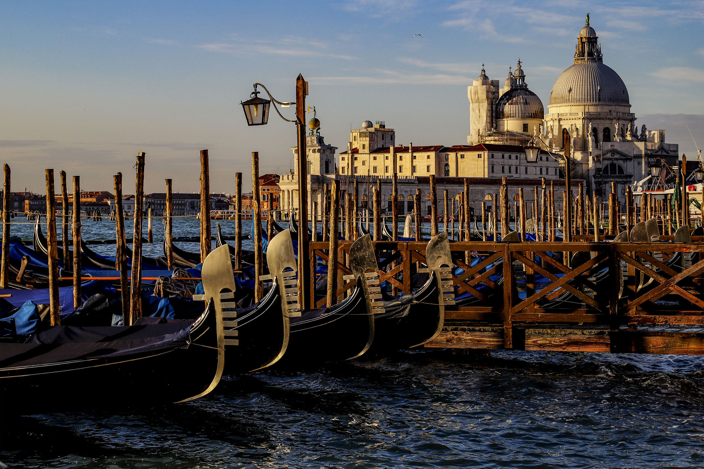 Il primo sole su La Salute
