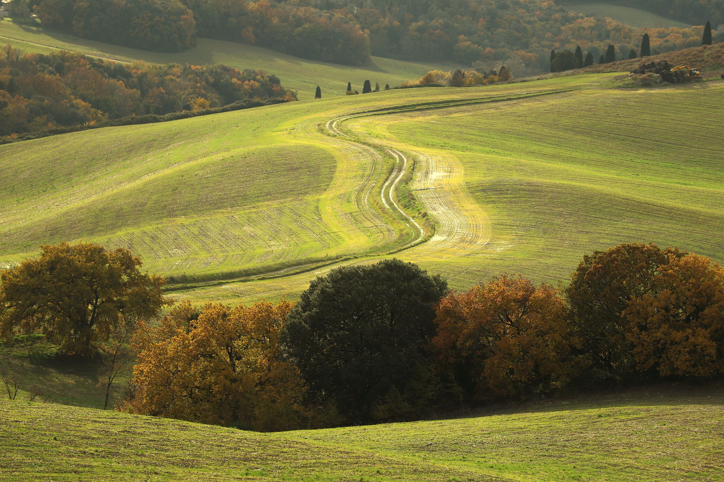 the hills around Volterra