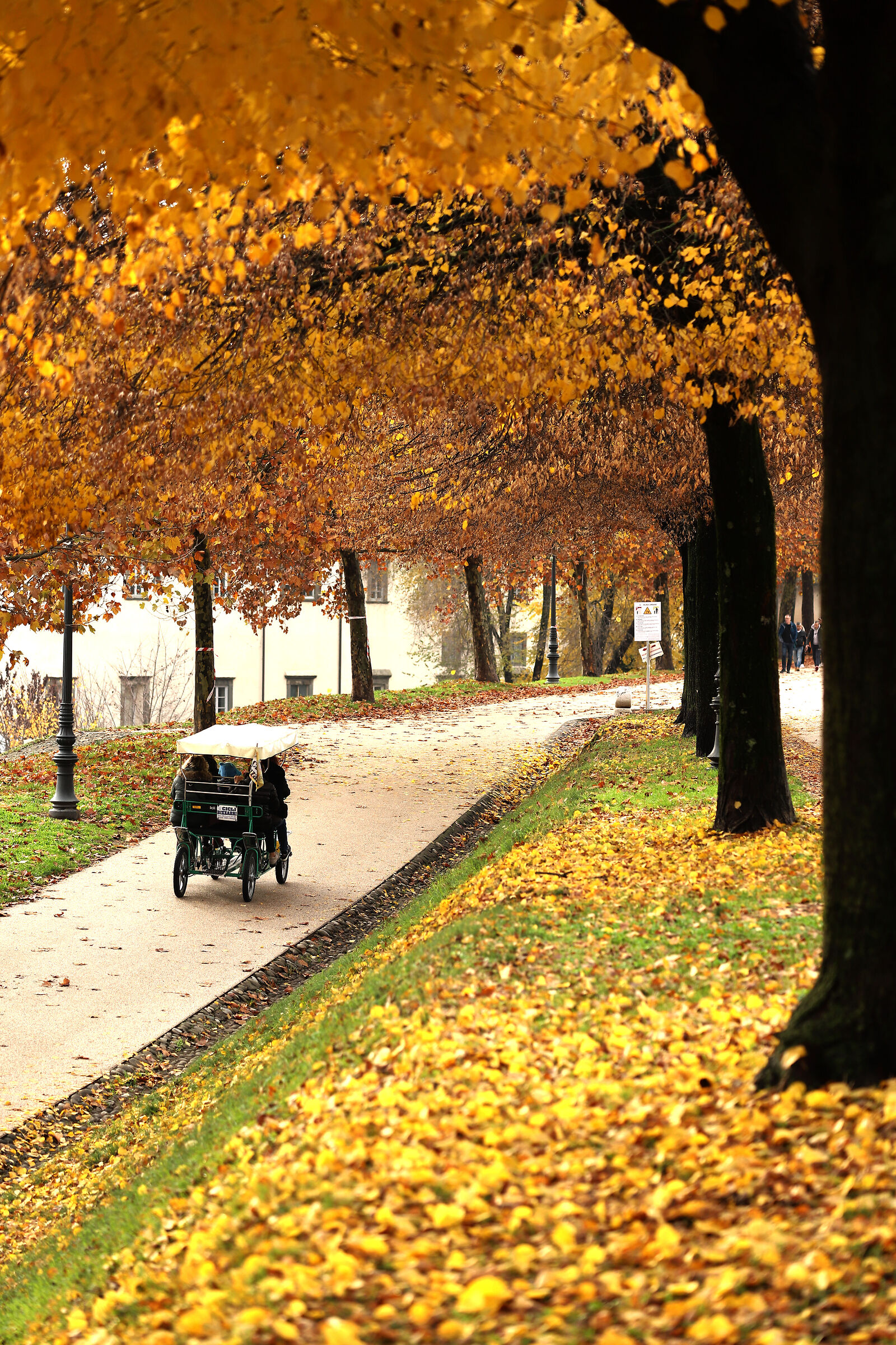 Lucca in autumn