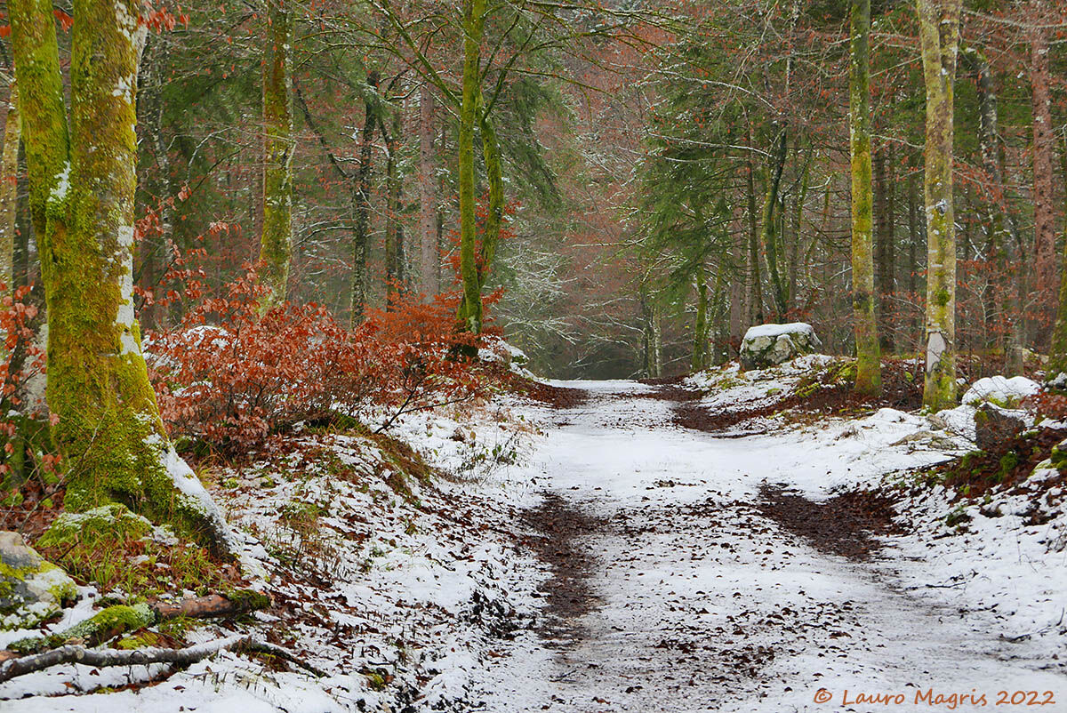 Neve tra gli ultimi colori