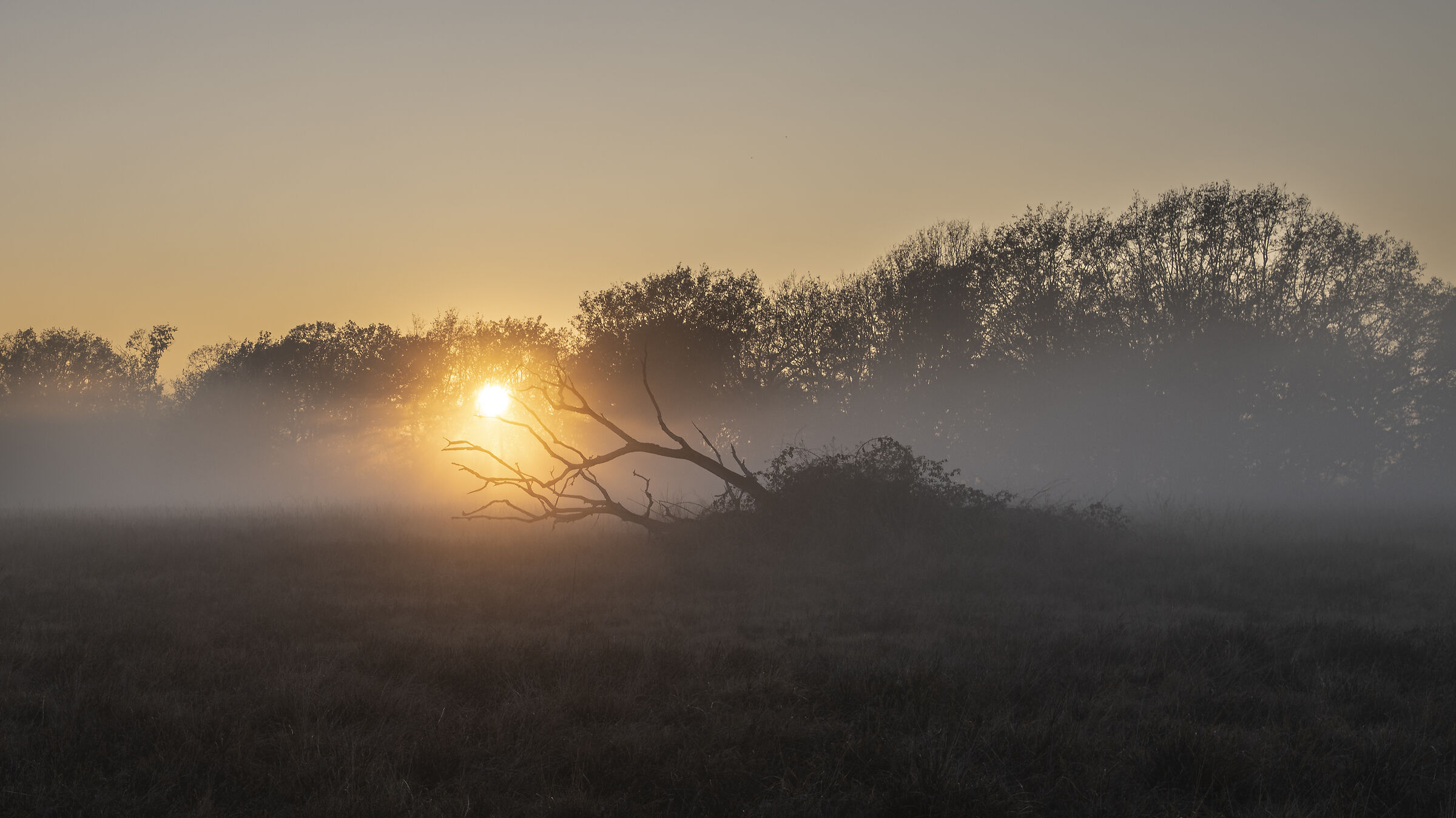Afferrando l'ultimo sole