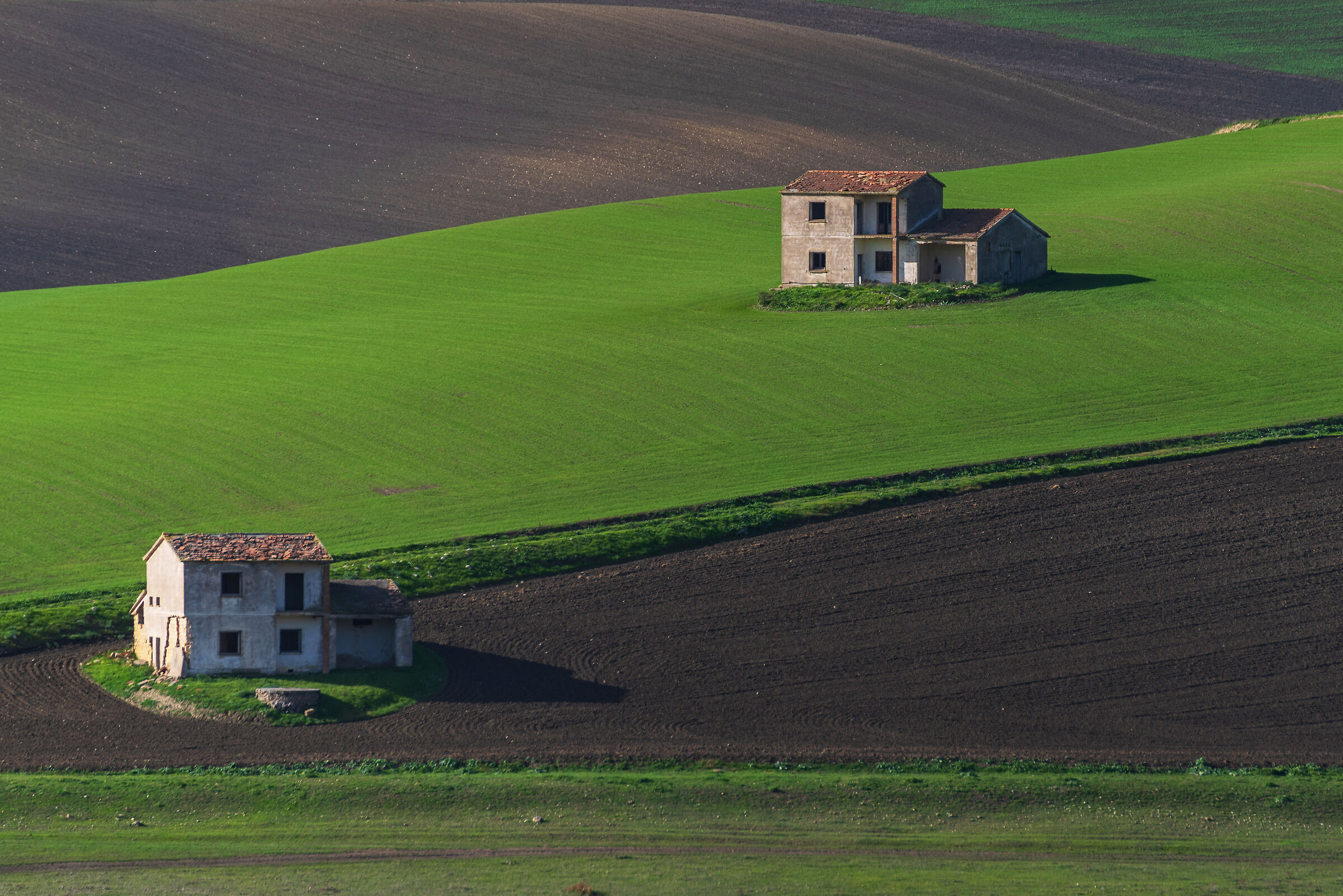 Abandonment
