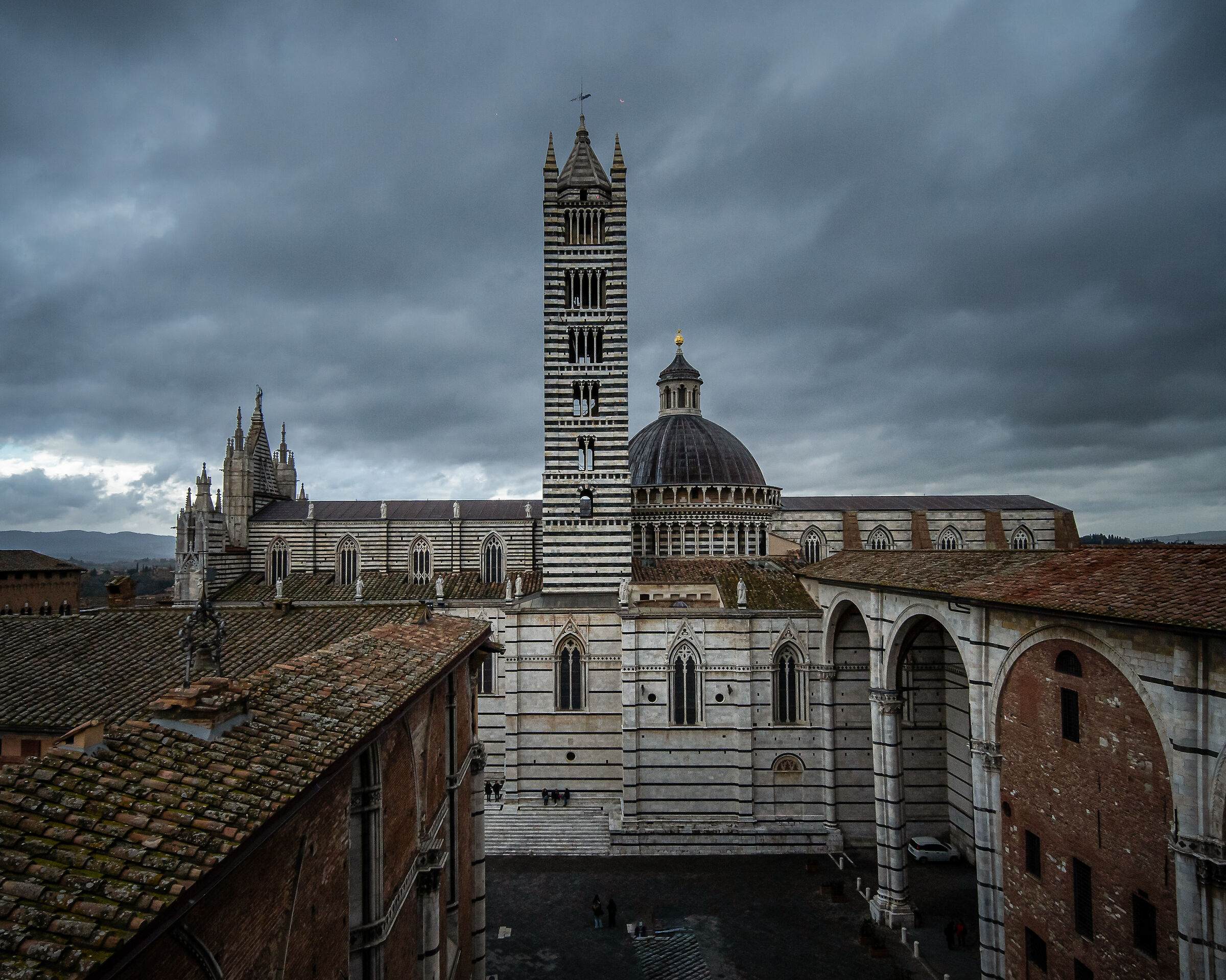Siena tenebrosa