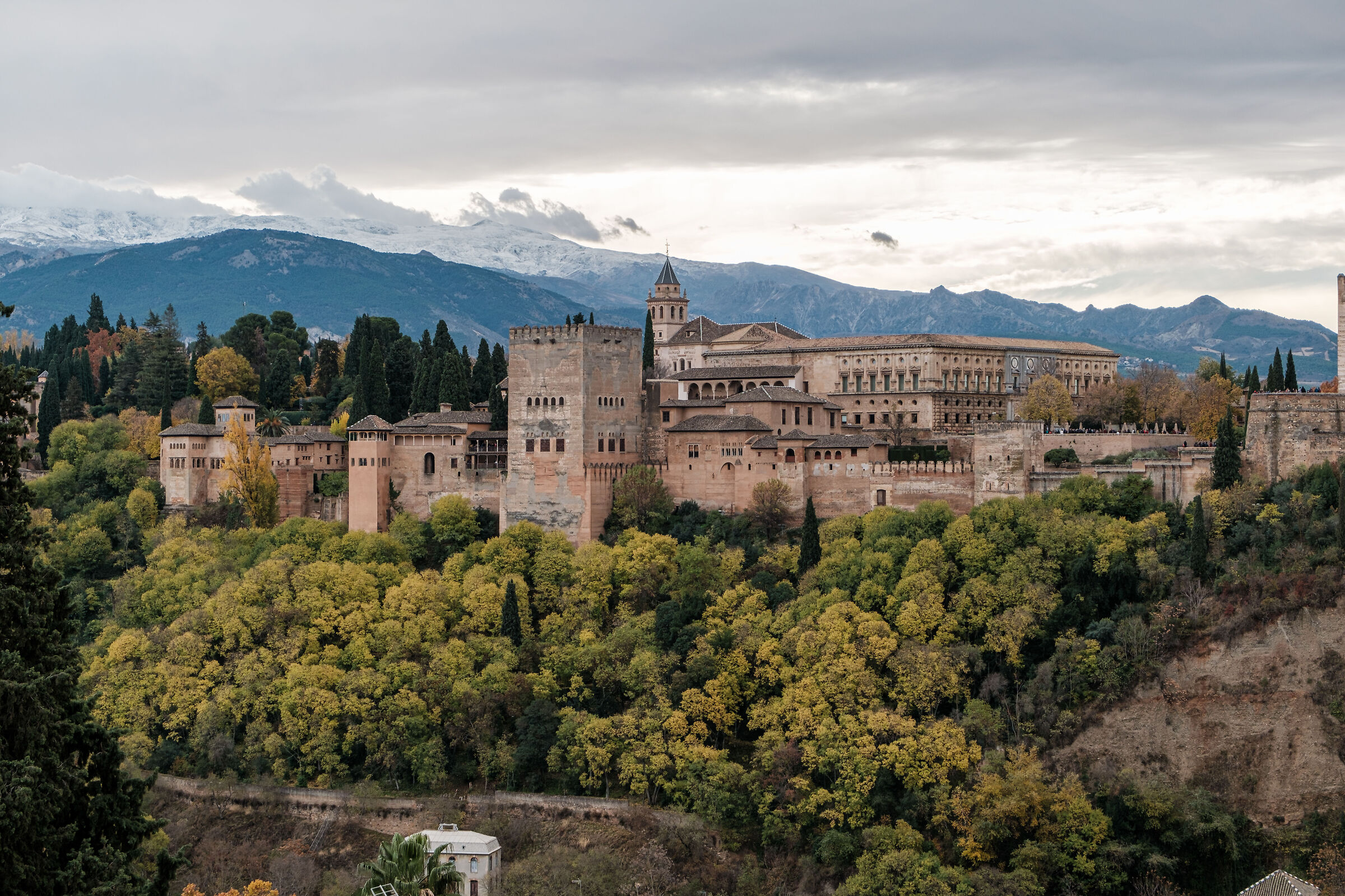 Alhambra - Granada