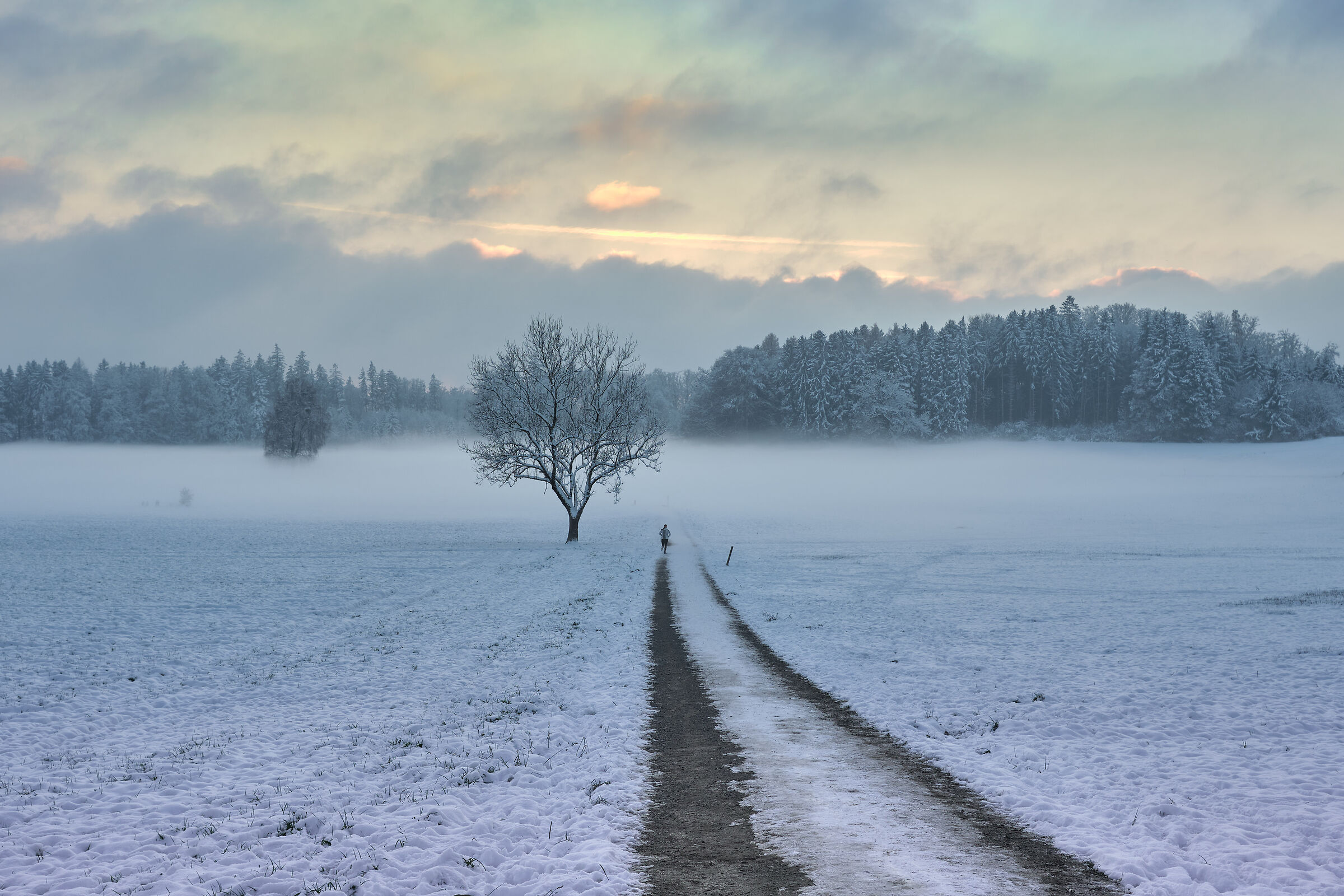 The cold runner