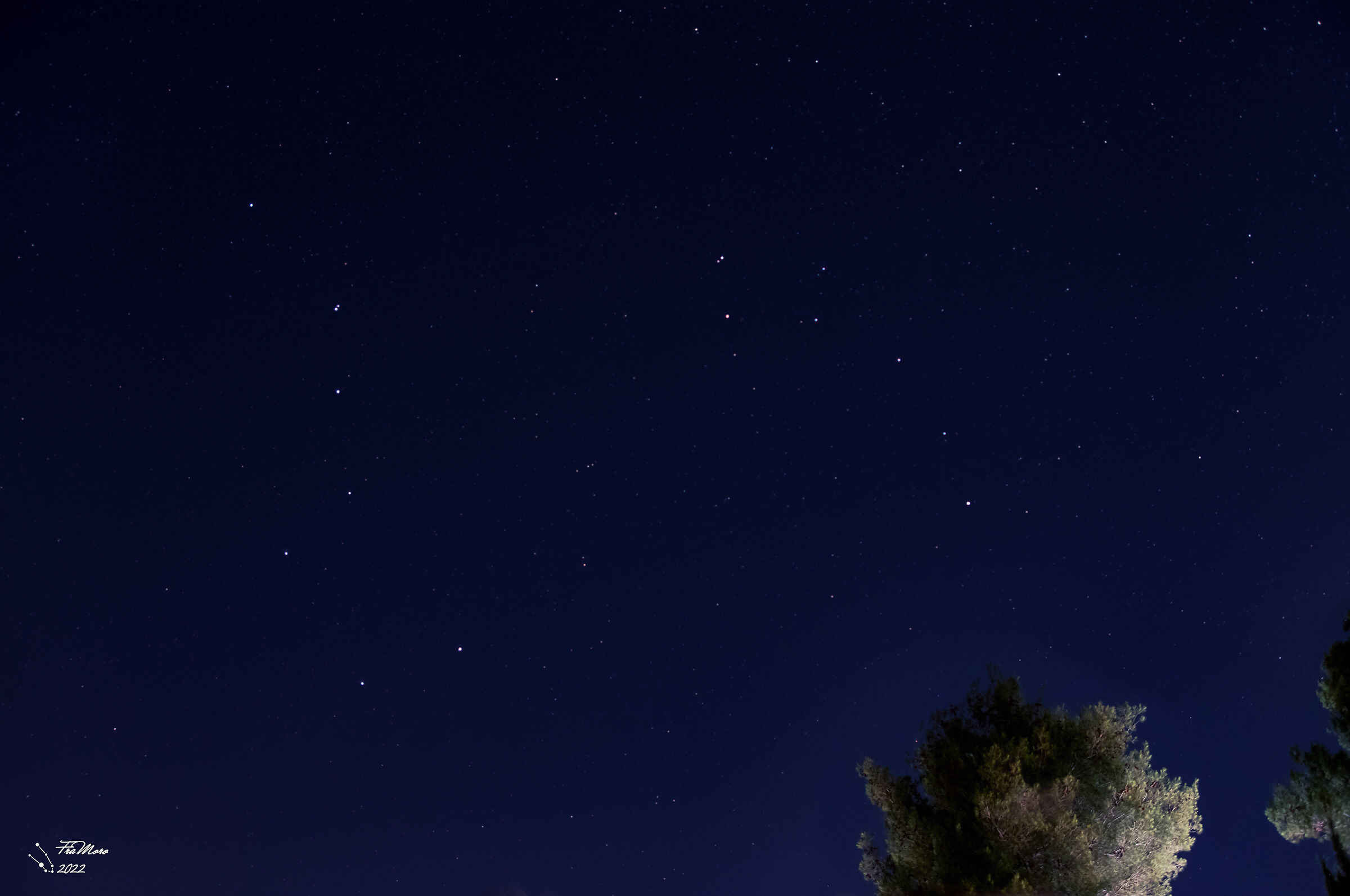 Le due Orse e i pini di Roma