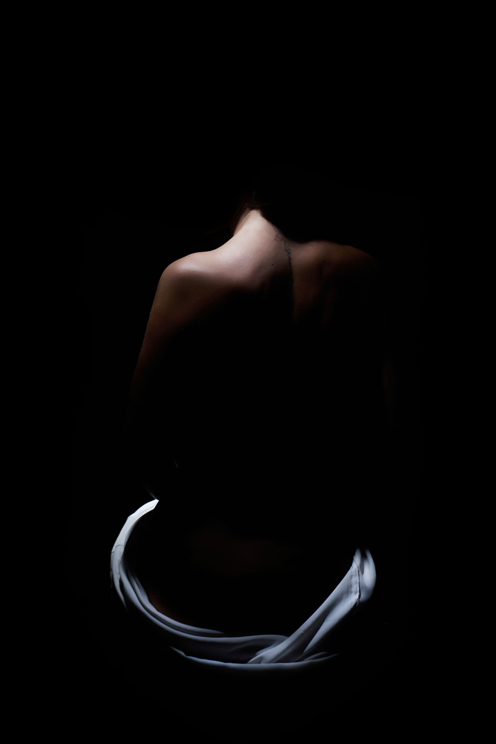 sagoma in ombra di un mistero indimenticabile